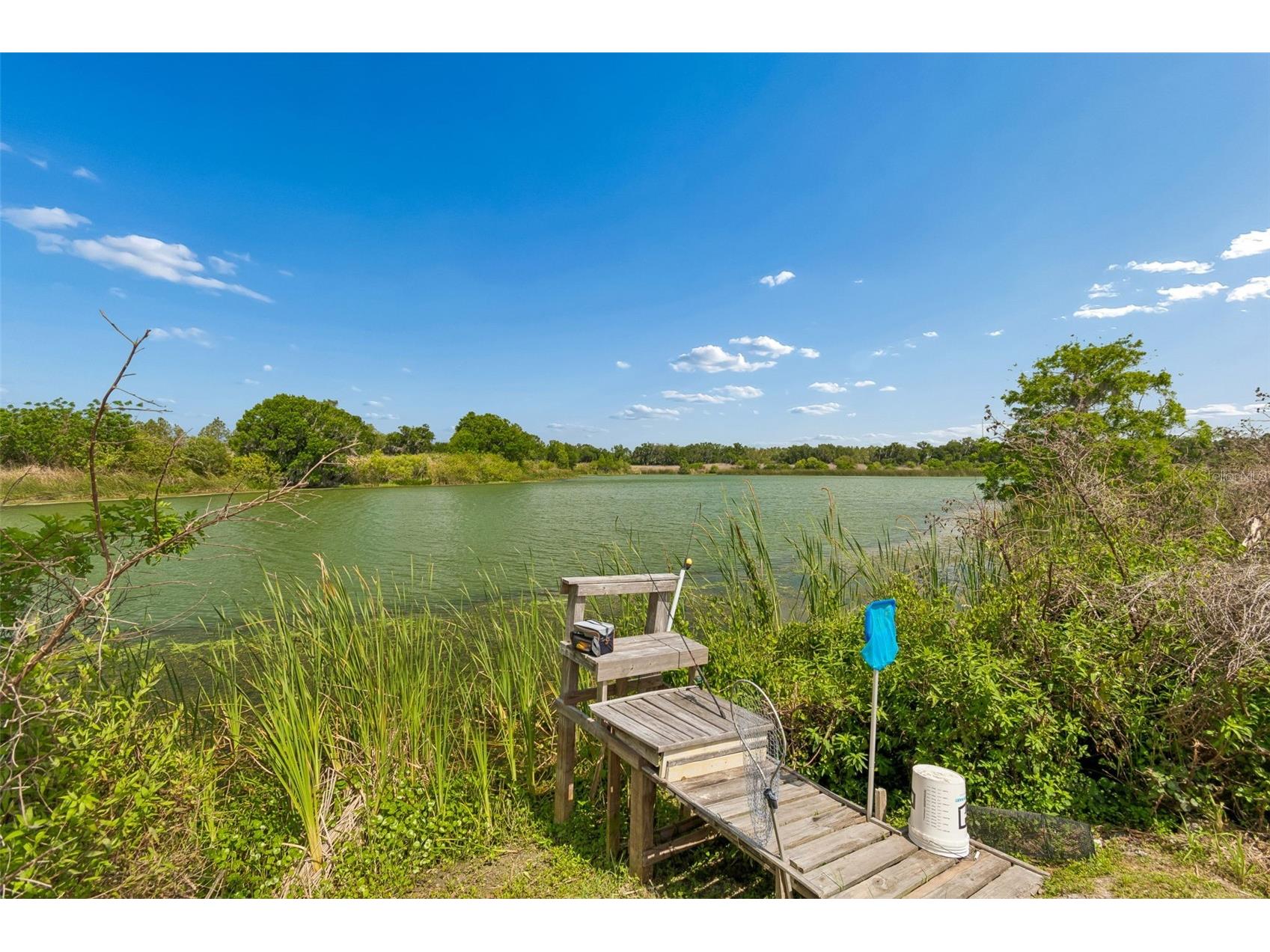 1980 Old Brewster Road Fort Meade FL 33841 TB8500358 image34