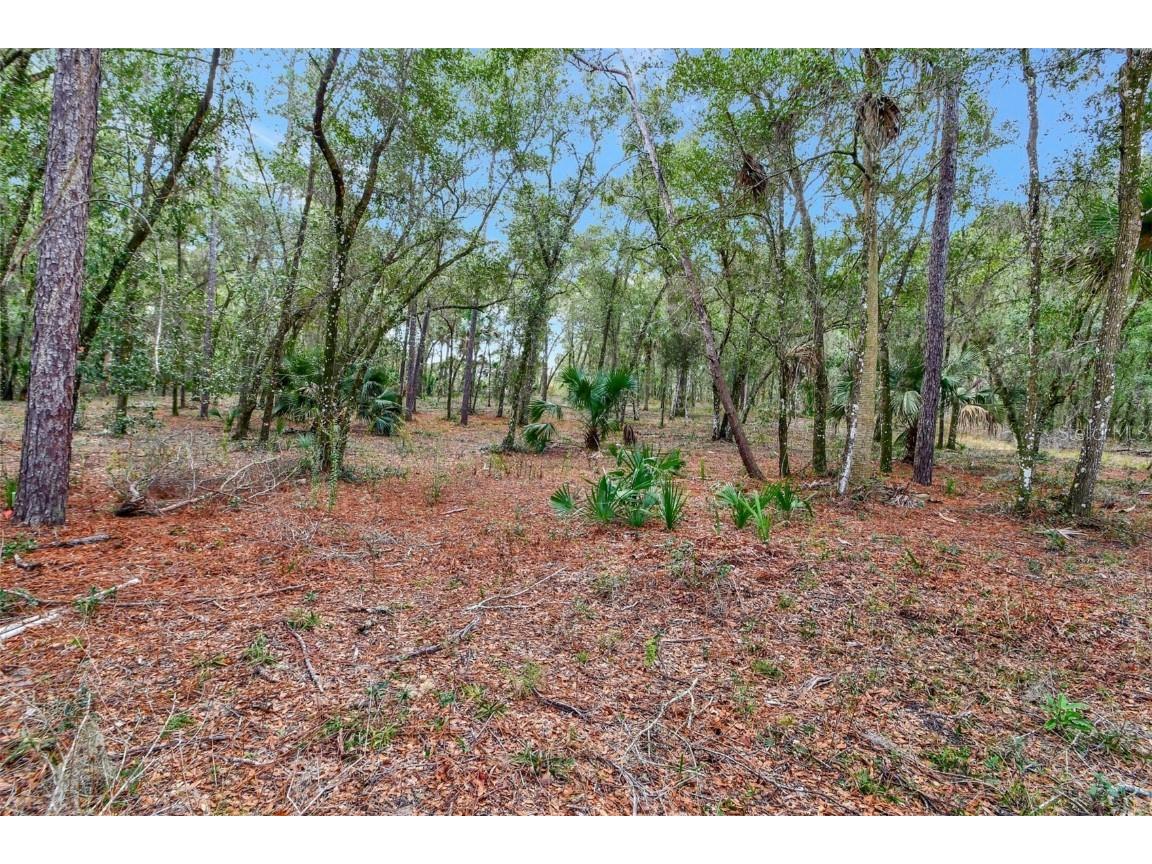 1980 S Farm Road Deland FL 32720 V4934029 image1