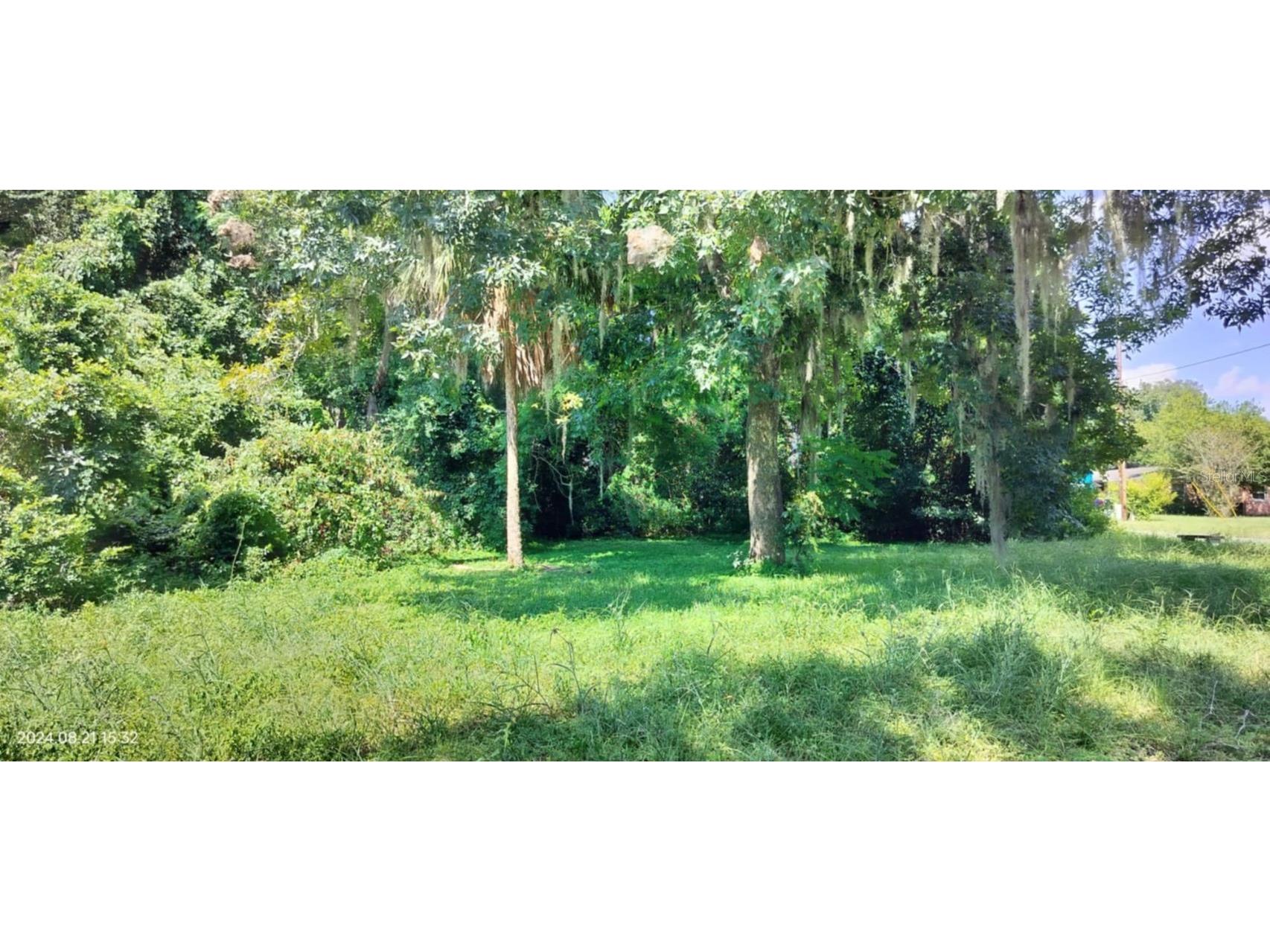 1980 S Tsala Terrace Inverness FL 34450 - TSALA APOPKA CHAIN OF LAKES T3550427 image1