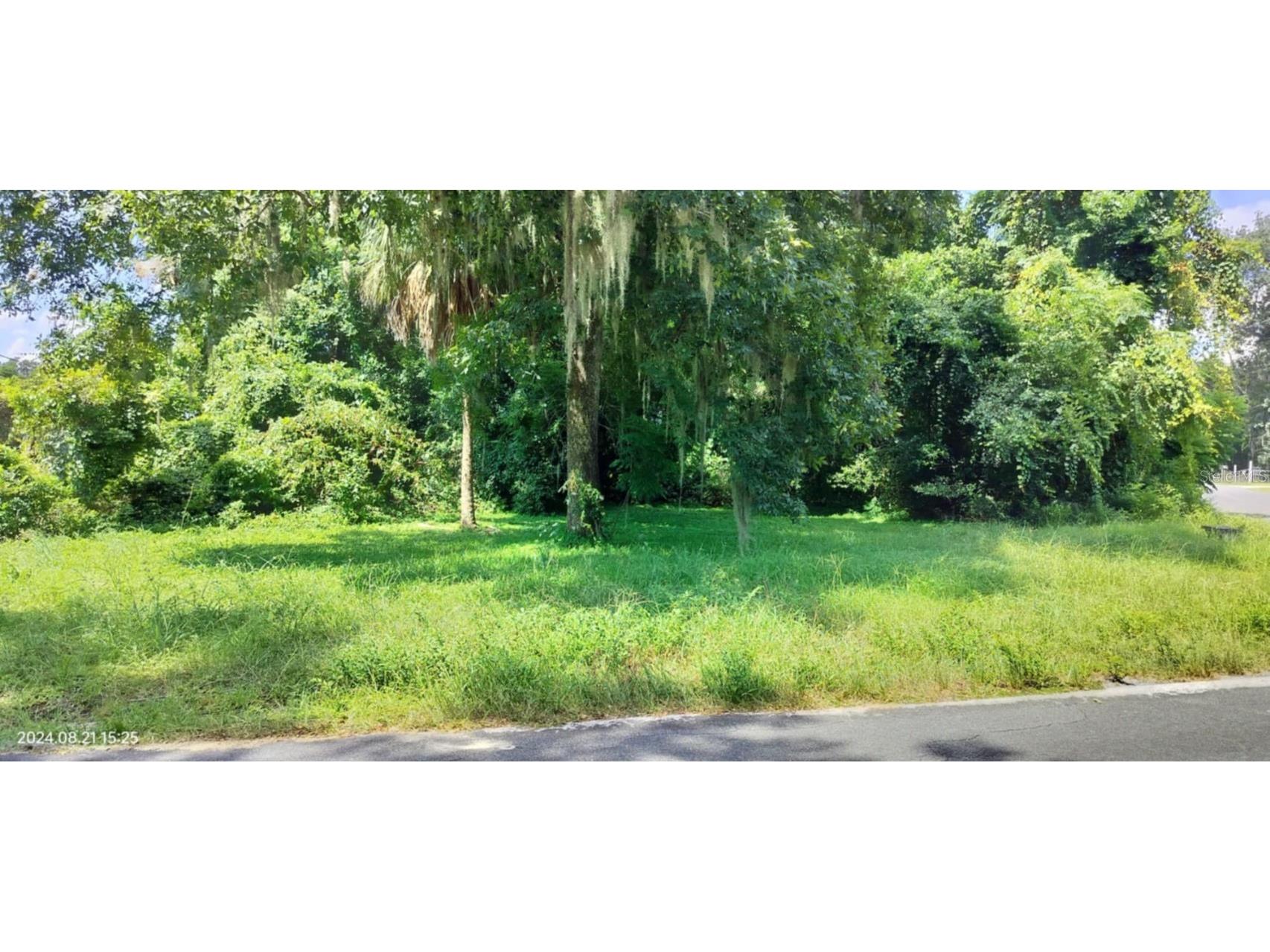 1980 S Tsala Terrace Inverness FL 34450 - TSALA APOPKA CHAIN OF LAKES T3550427 image14