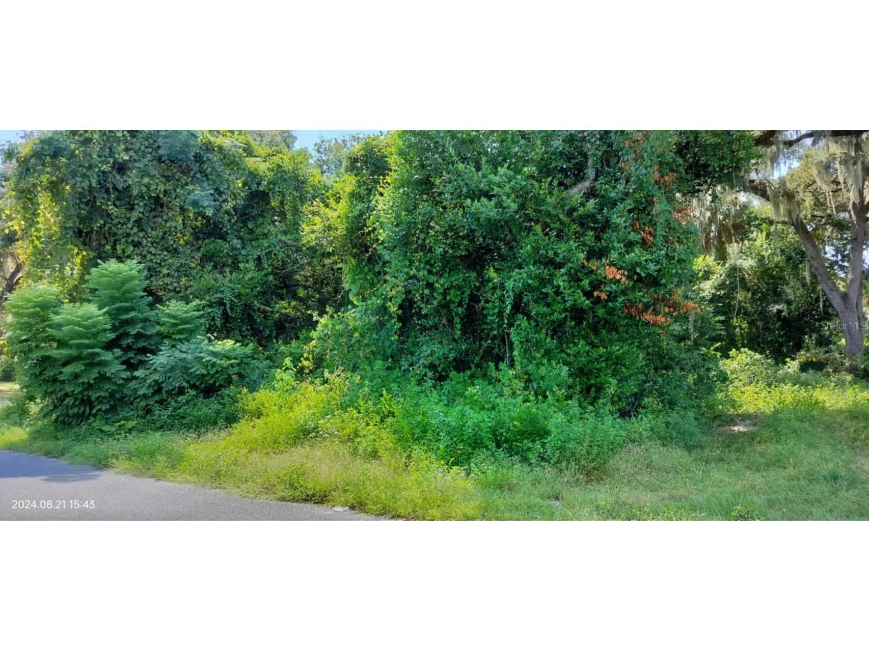 1980 S Tsala Terrace Inverness FL 34450 - TSALA APOPKA CHAIN OF LAKES T3550427 image15