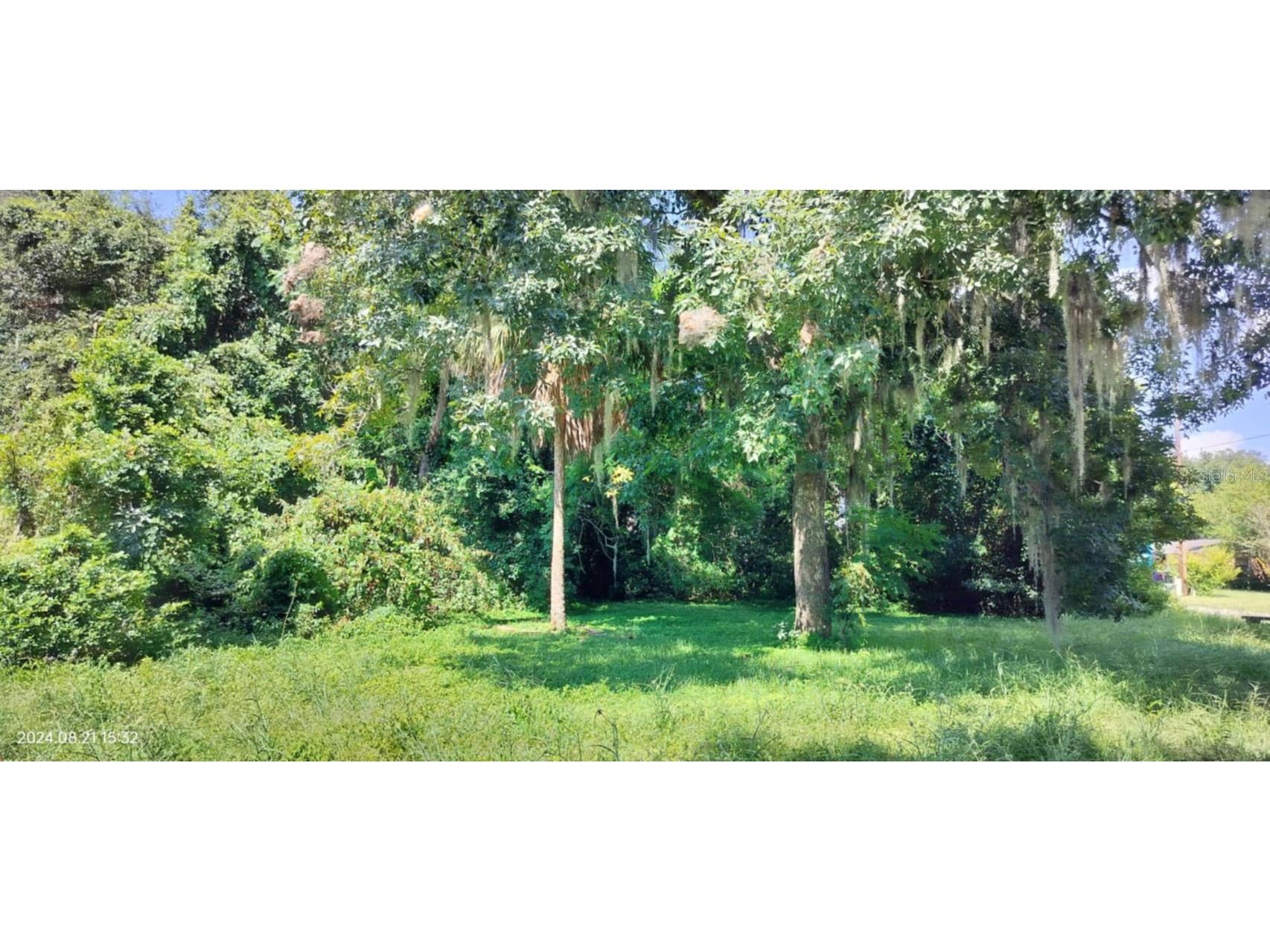 1980 S Tsala Terrace Inverness FL 34450 - TSALA APOPKA CHAIN OF LAKES T3550427 image16