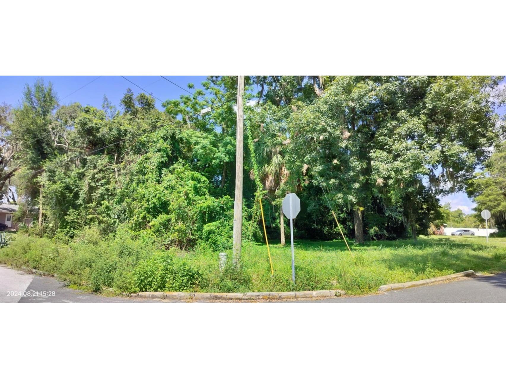 1980 S Tsala Terrace Inverness FL 34450 - TSALA APOPKA CHAIN OF LAKES T3550427 image18