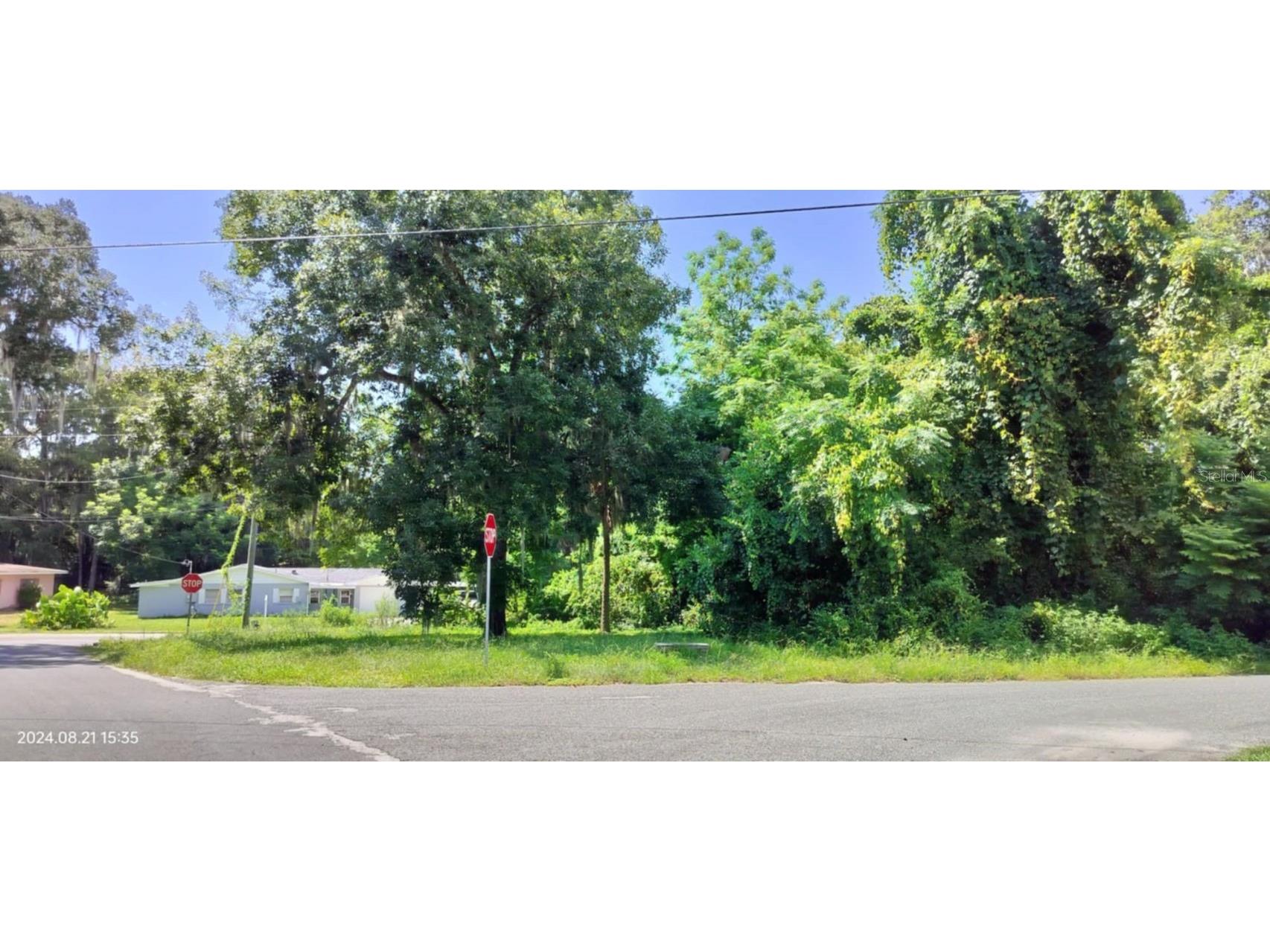 1980 S Tsala Terrace Inverness FL 34450 - TSALA APOPKA CHAIN OF LAKES T3550427 image19