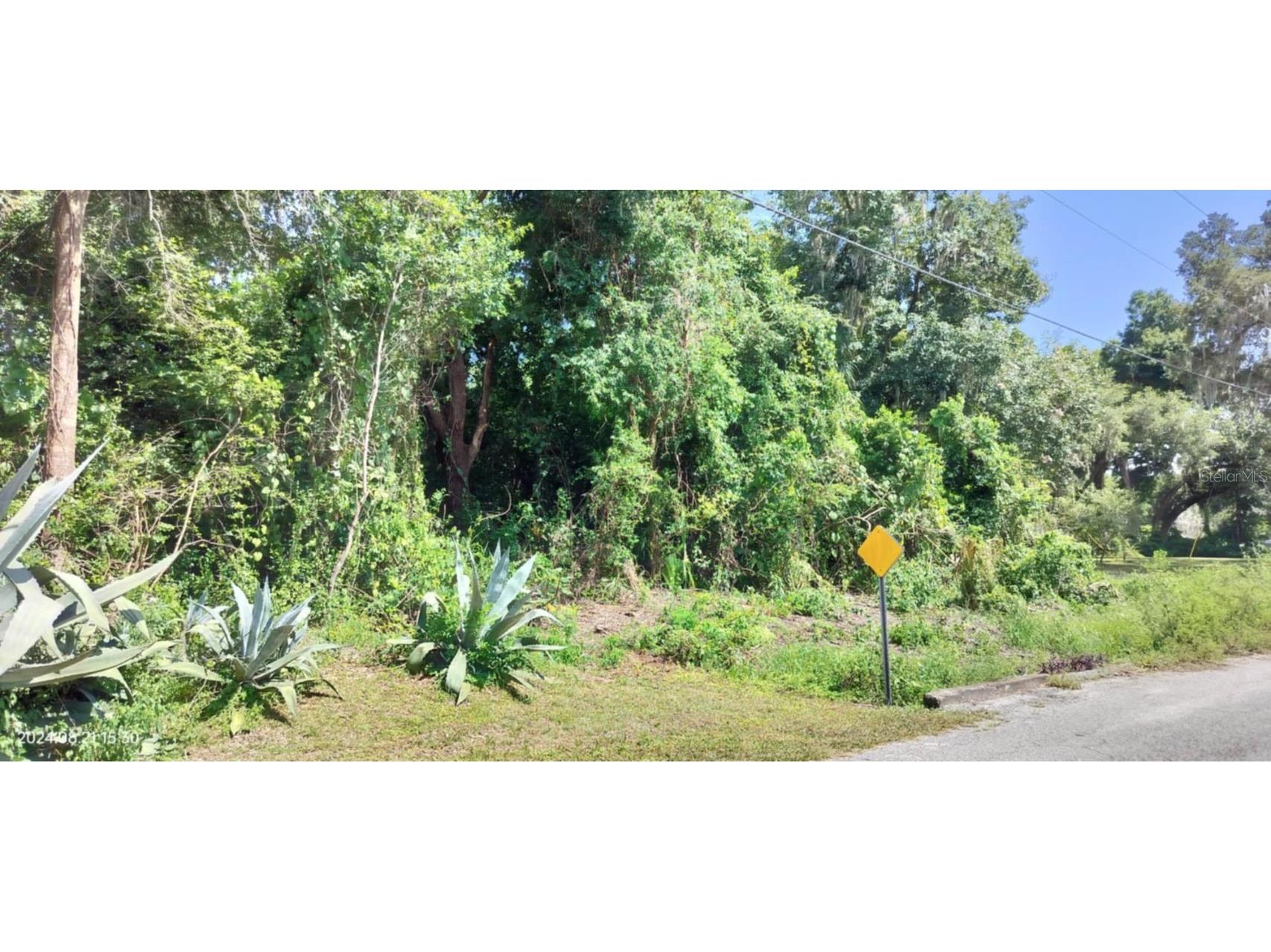 1980 S Tsala Terrace Inverness FL 34450 - TSALA APOPKA CHAIN OF LAKES T3550427 image2