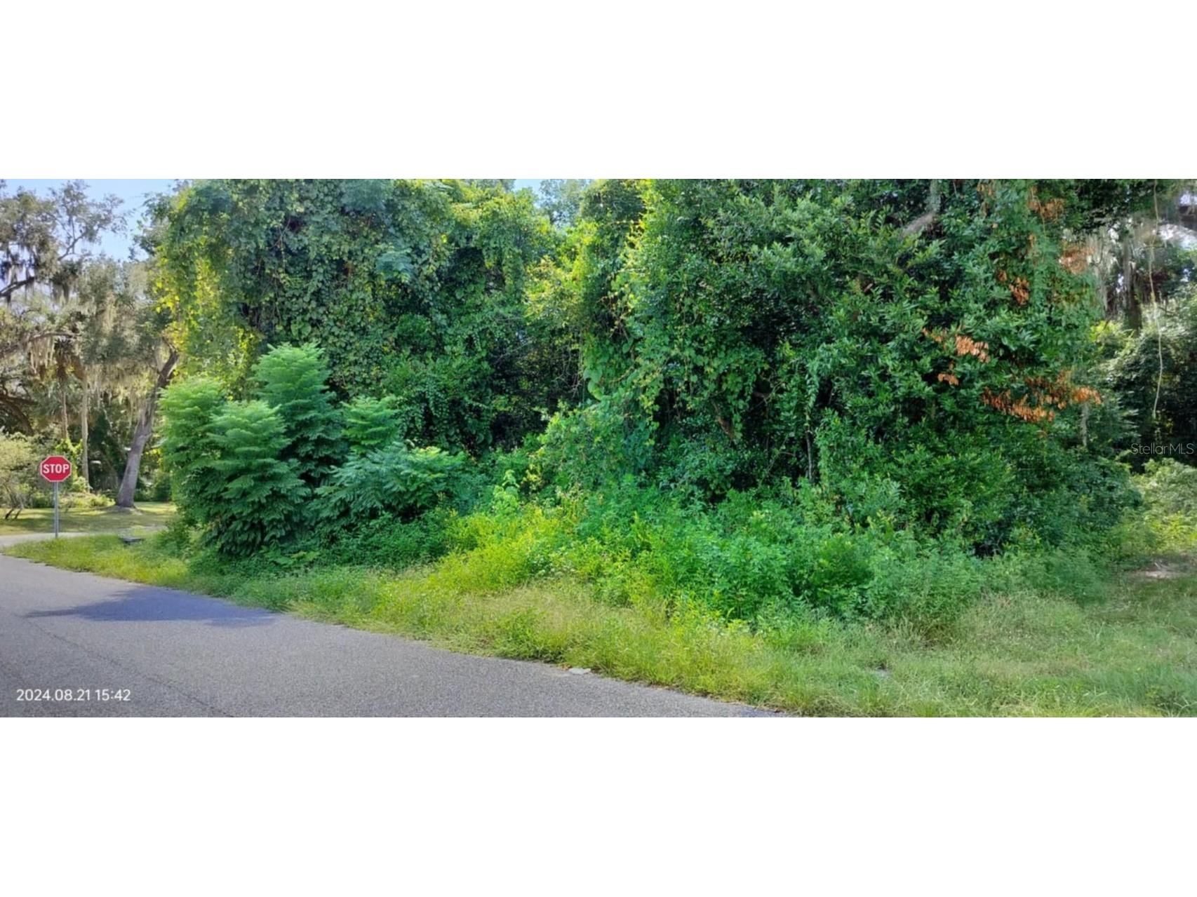 1980 S Tsala Terrace Inverness FL 34450 - TSALA APOPKA CHAIN OF LAKES T3550427 image20