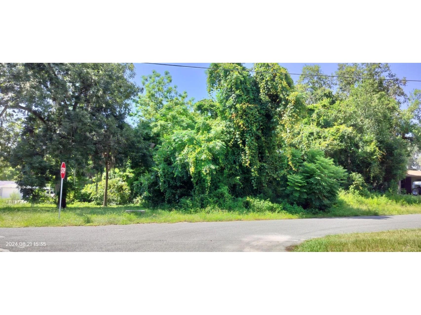 1980 S Tsala Terrace Inverness FL 34450 - TSALA APOPKA CHAIN OF LAKES T3550427 image21