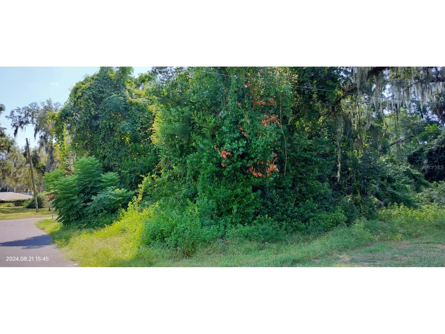 1980 S Tsala Terrace Inverness FL 34450 - TSALA APOPKA CHAIN OF LAKES T3550427 image24