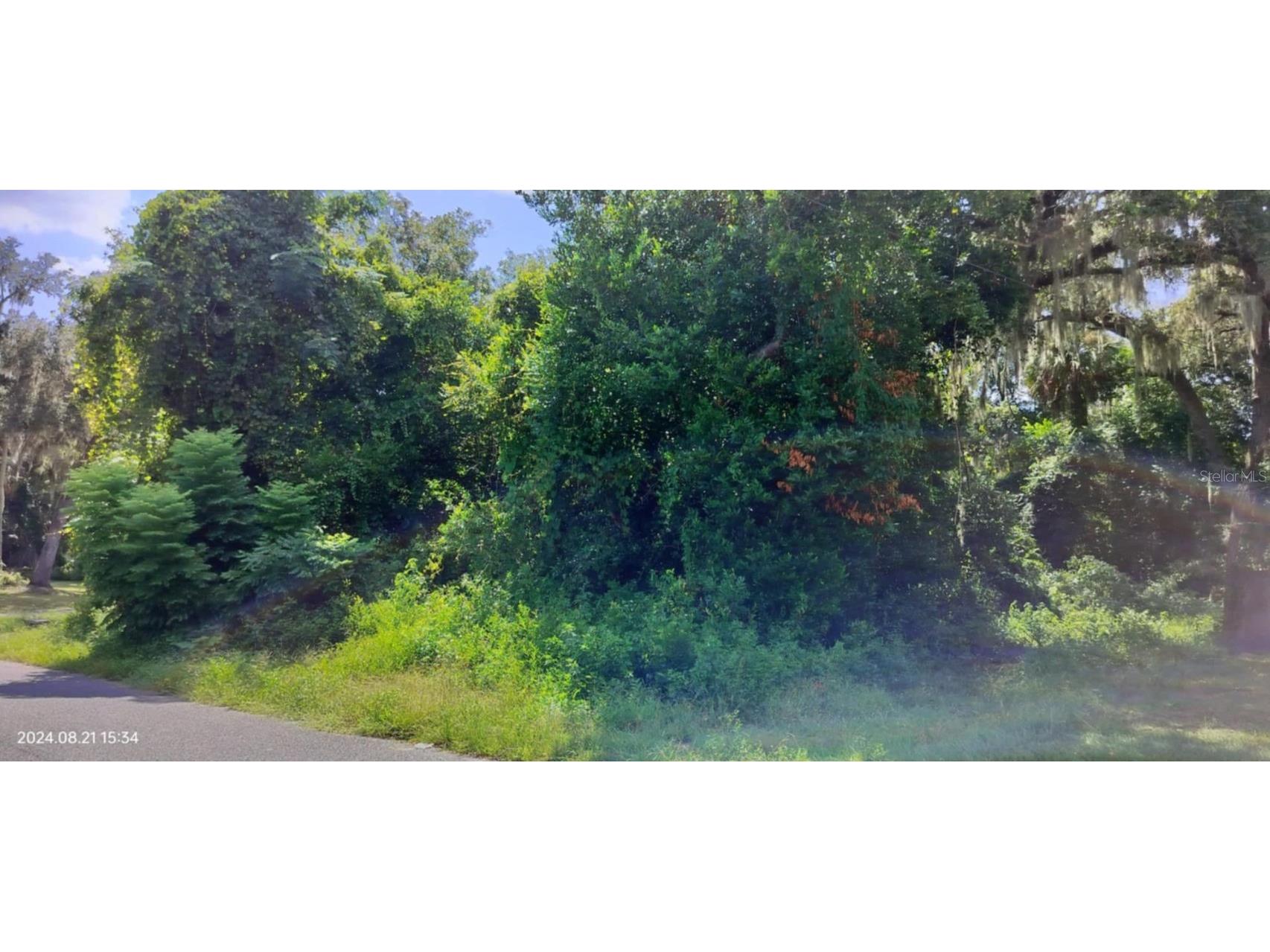 1980 S Tsala Terrace Inverness FL 34450 - TSALA APOPKA CHAIN OF LAKES T3550427 image25