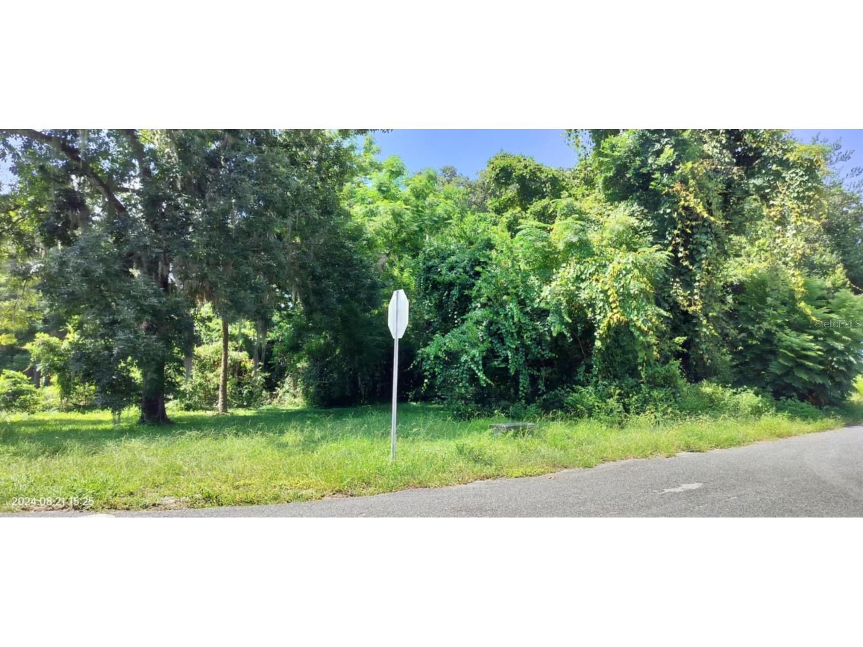 1980 S Tsala Terrace Inverness FL 34450 - TSALA APOPKA CHAIN OF LAKES T3550427 image26