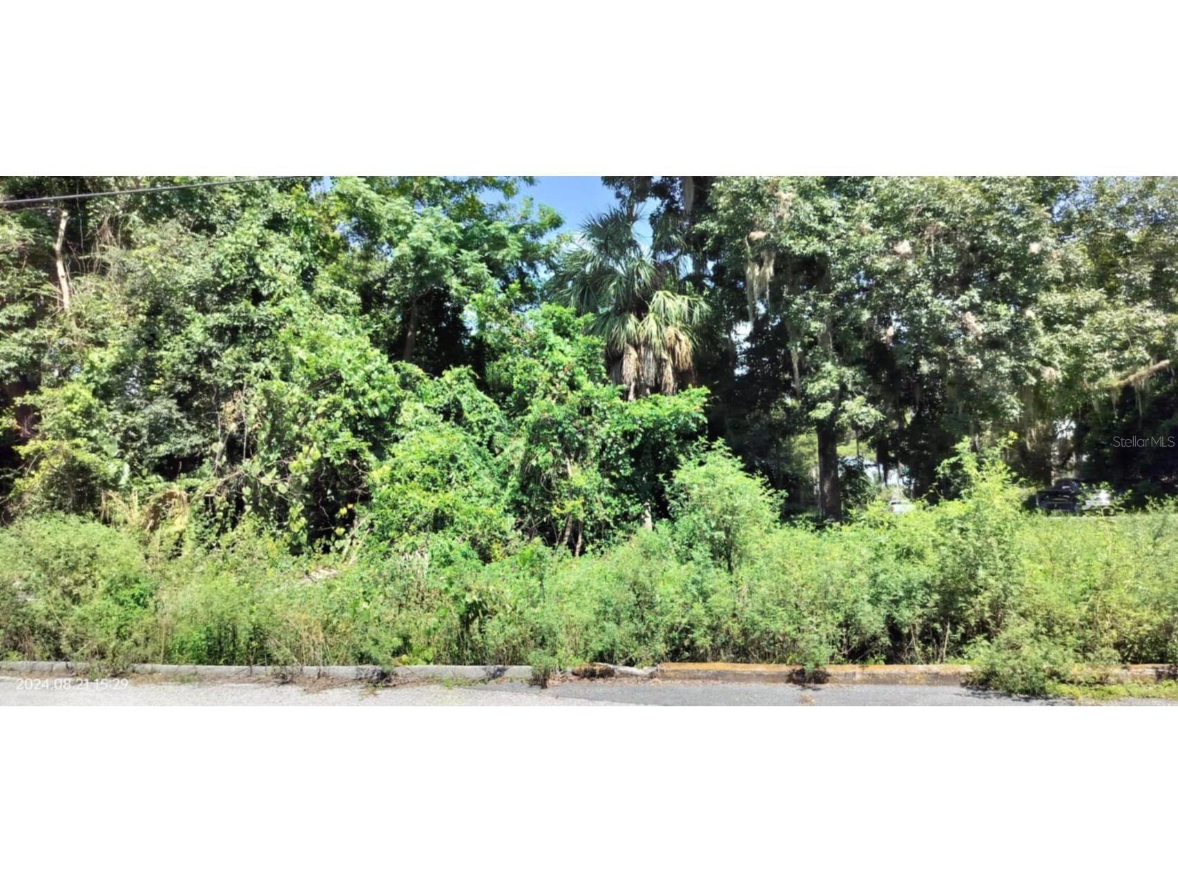 1980 S Tsala Terrace Inverness FL 34450 - TSALA APOPKA CHAIN OF LAKES T3550427 image6