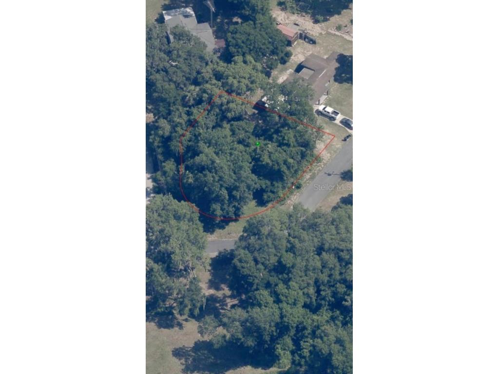 1980 S Tsala Terrace Inverness FL 34450 - TSALA APOPKA CHAIN OF LAKES T3550427 image8