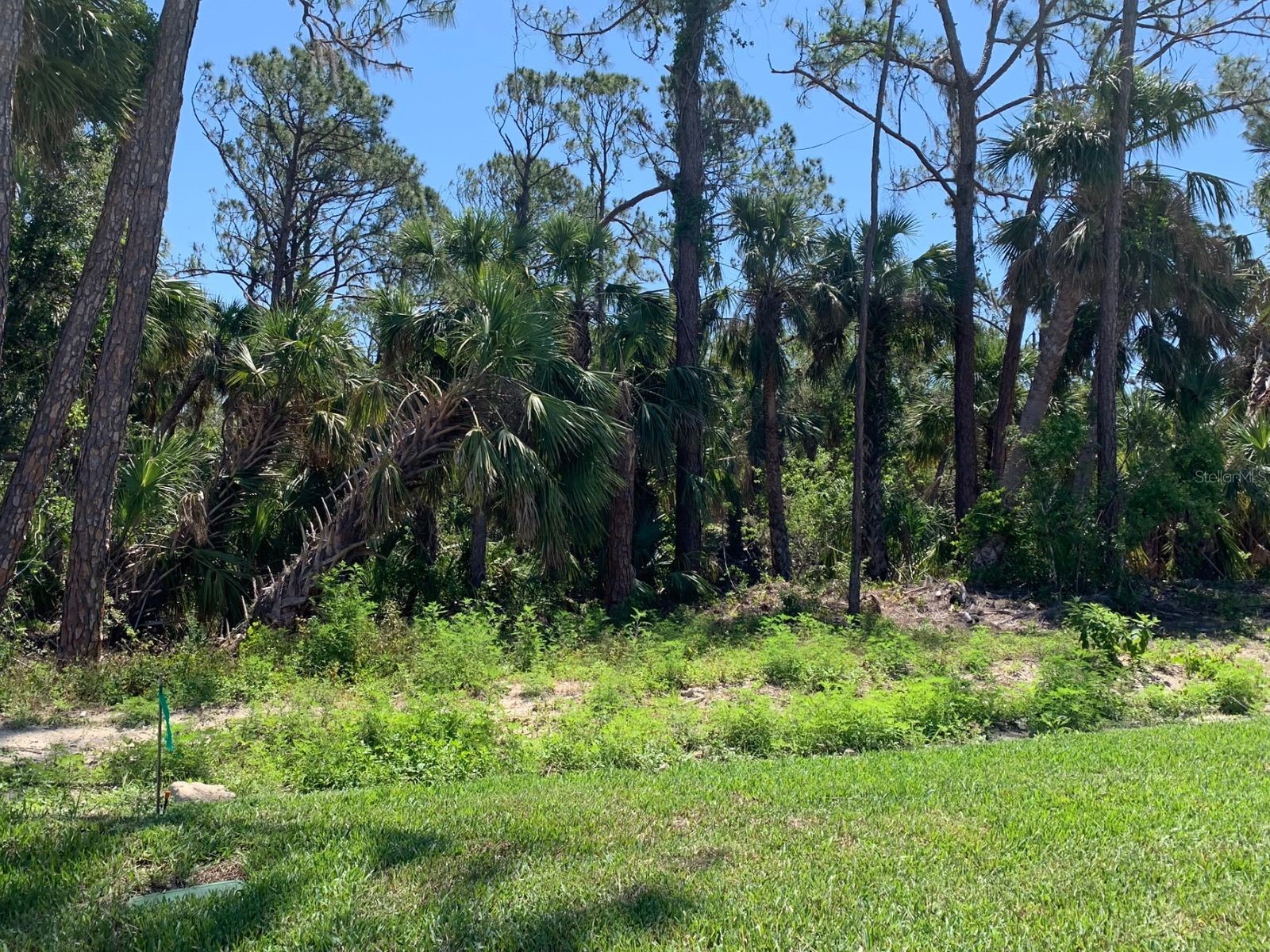 1980 Sunset Preserve Way Port Charlotte FL 33953 D6147912 image6