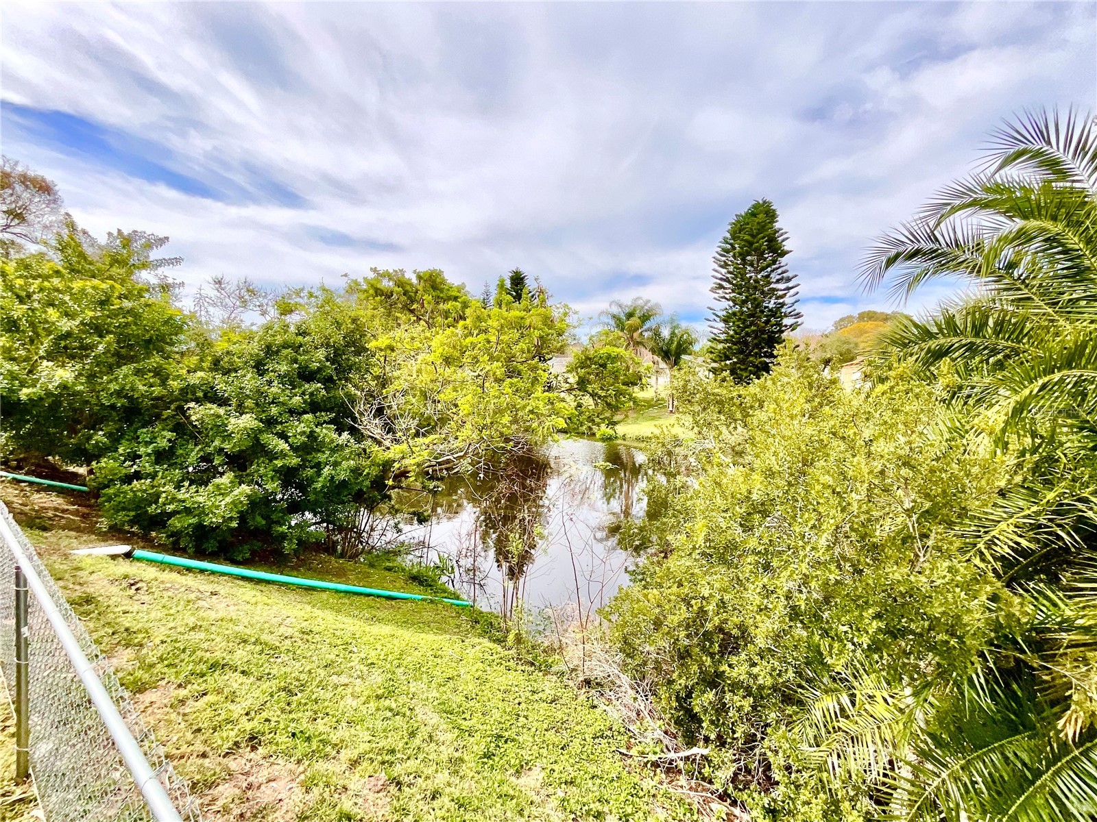1980 Tahitian Place #15 Dunedin FL 34698 TB8529789 image13