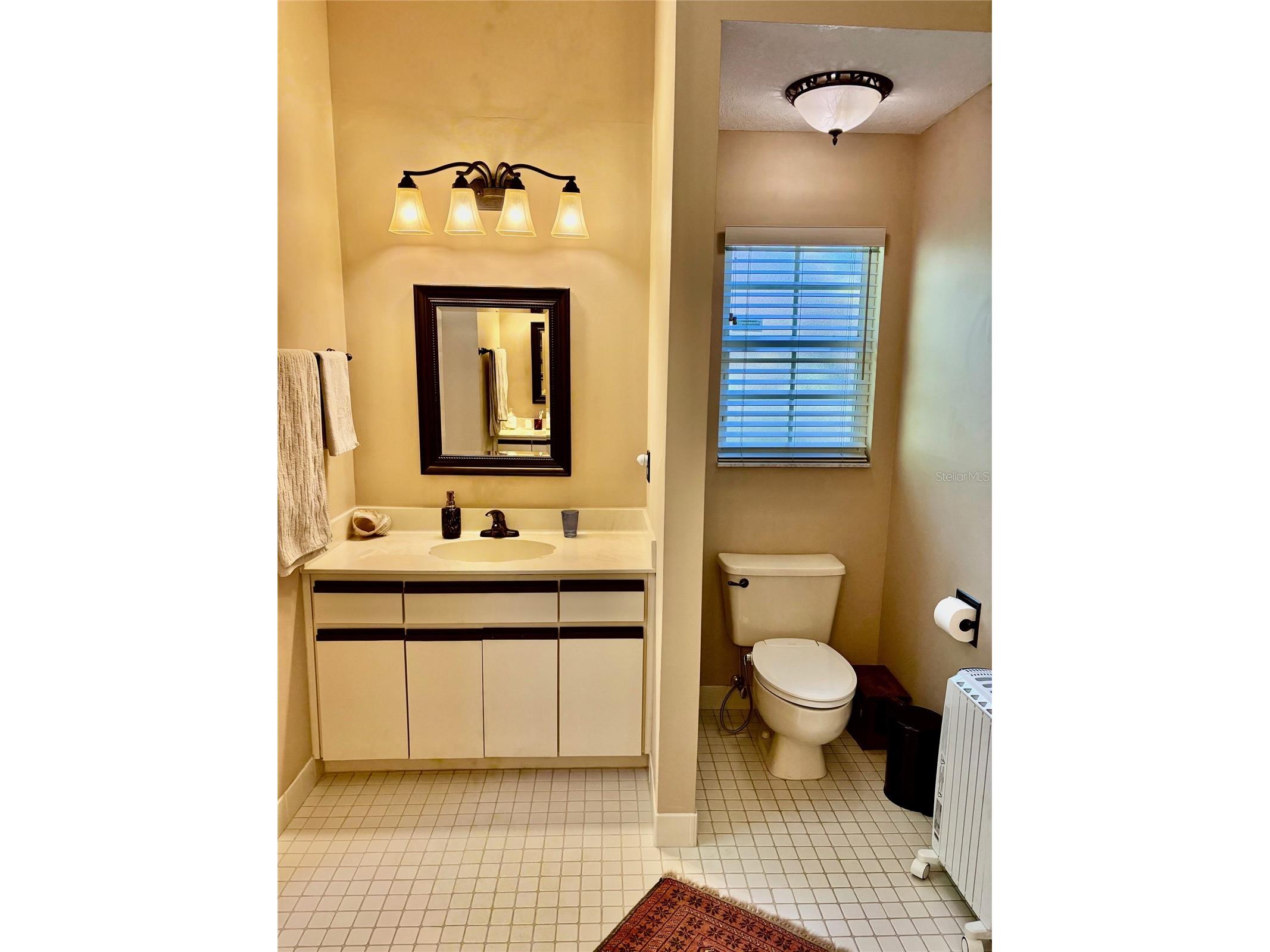 19800 SW 95th Street Dunnellon FL 34432 - RAINBOW RIVER OM713951 image13