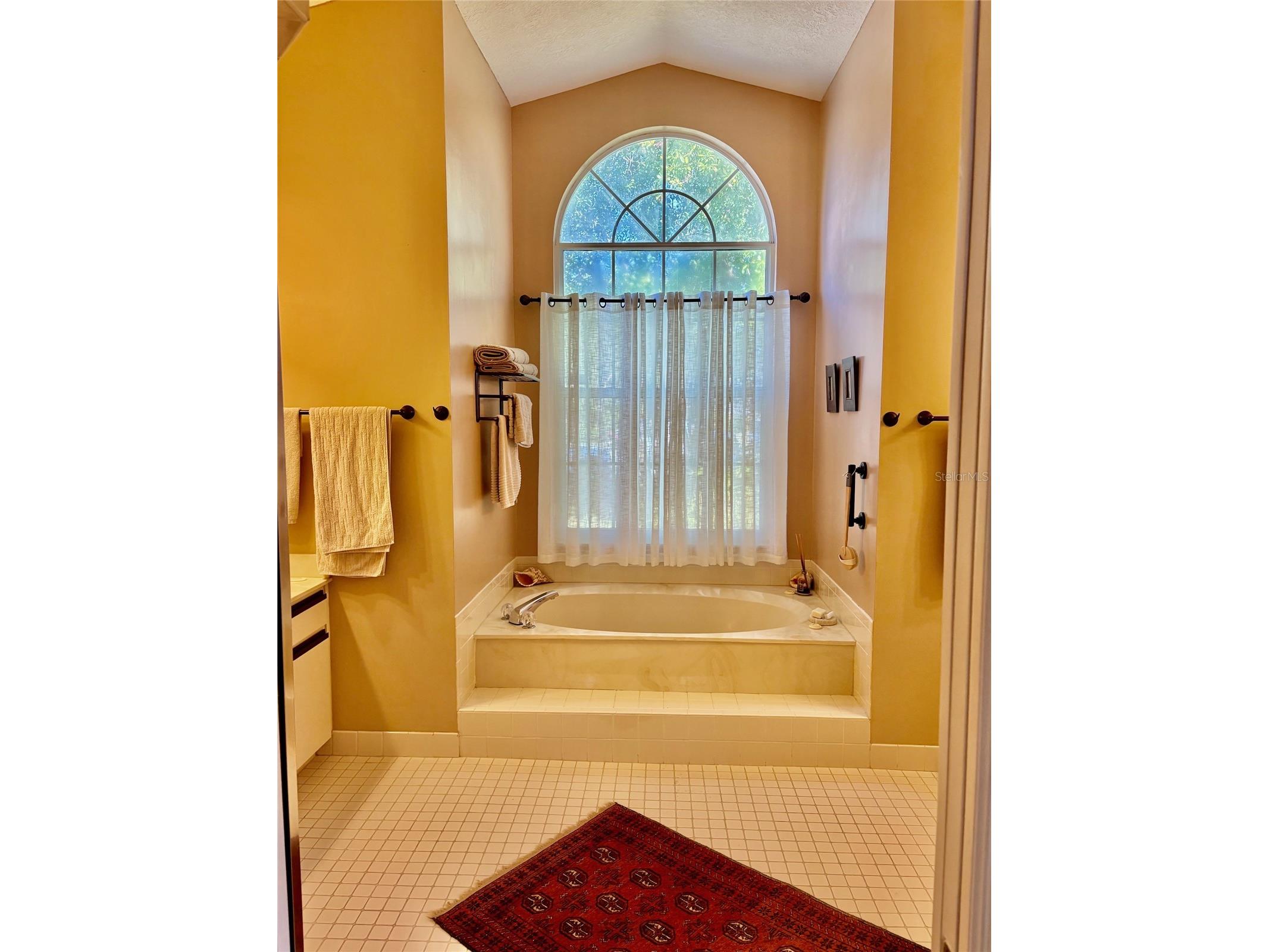 19800 SW 95th Street Dunnellon FL 34432 - RAINBOW RIVER OM713951 image14