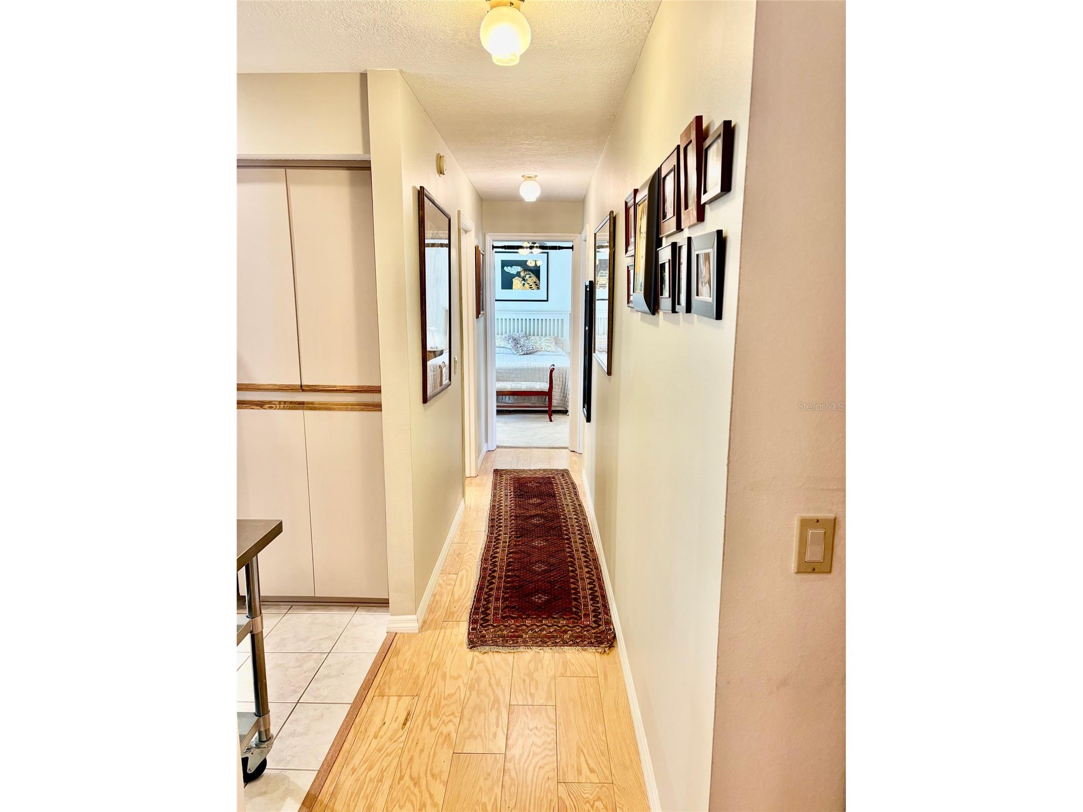 19800 SW 95th Street Dunnellon FL 34432 - RAINBOW RIVER OM713951 image34