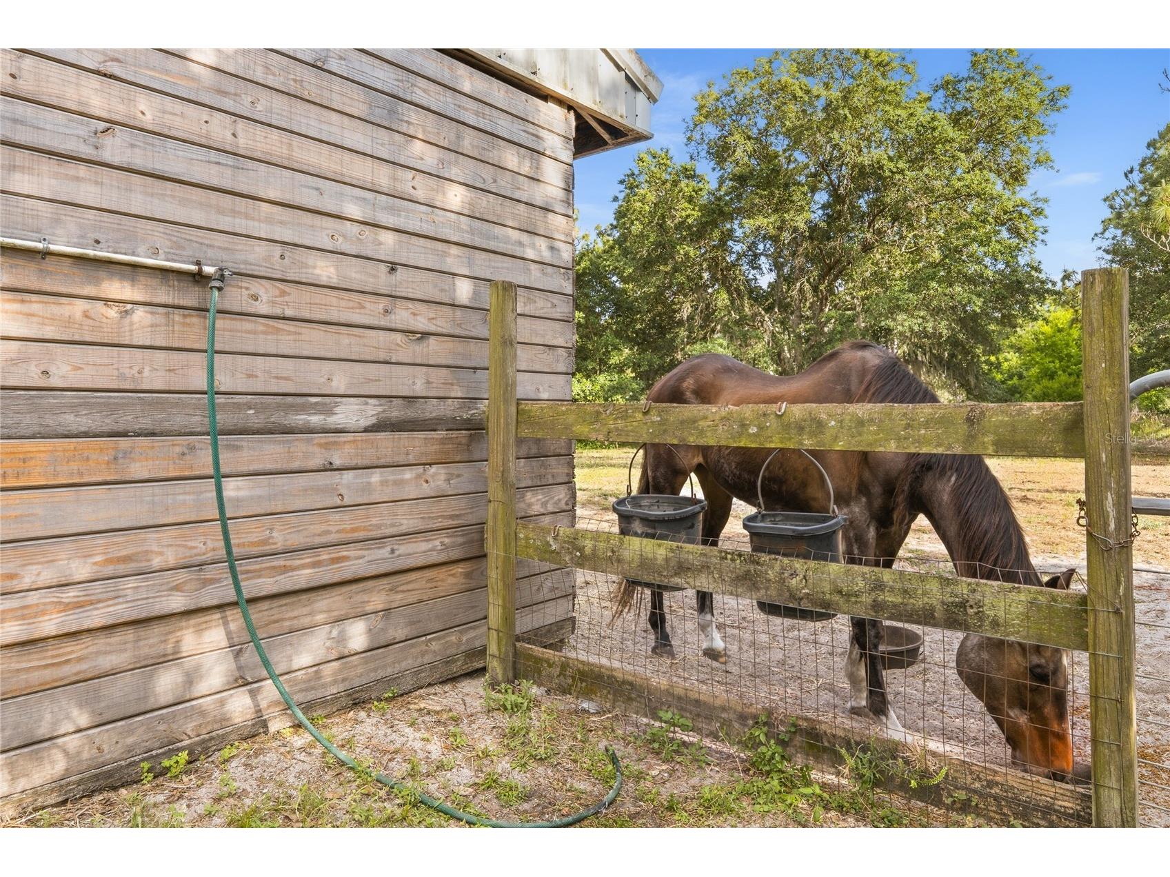 19802 Peabody Street Orlando FL 32833 O6406242 image49