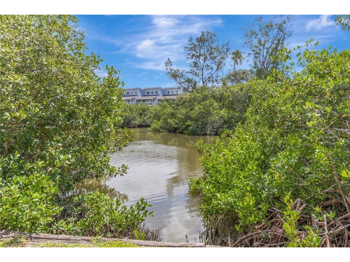 19803 Gulf Boulevard #301 Indian Shores FL 33785 TB8429767 image4