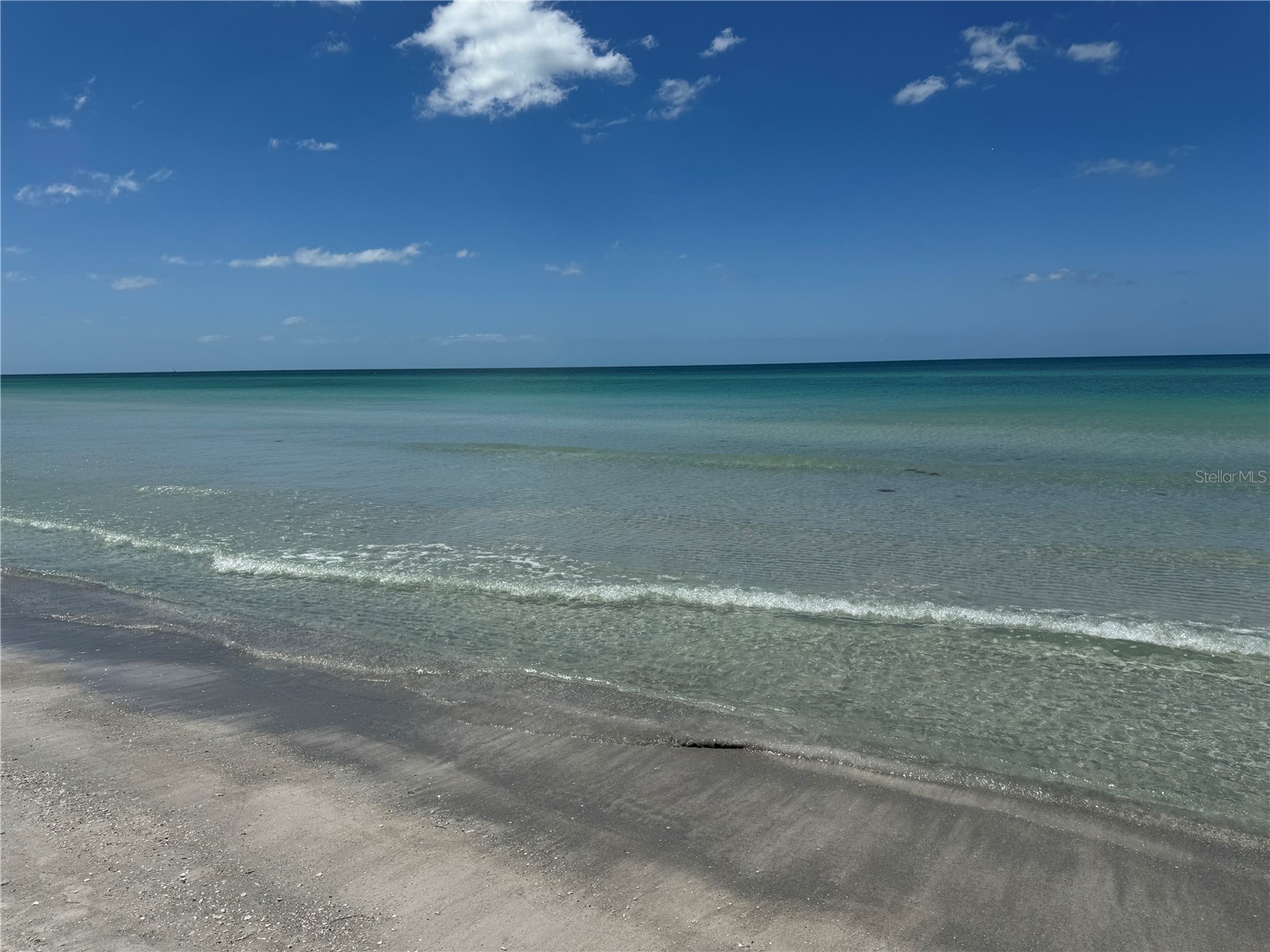 19803 Gulf Boulevard #301 Indian Shores FL 33785 TB8429767 image60