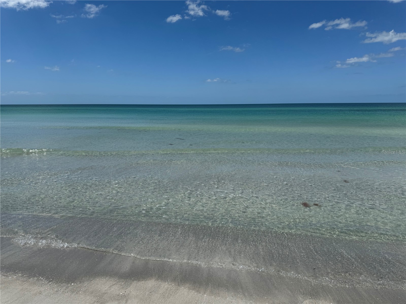 19803 Gulf Boulevard #301 Indian Shores FL 33785 TB8429767 image61