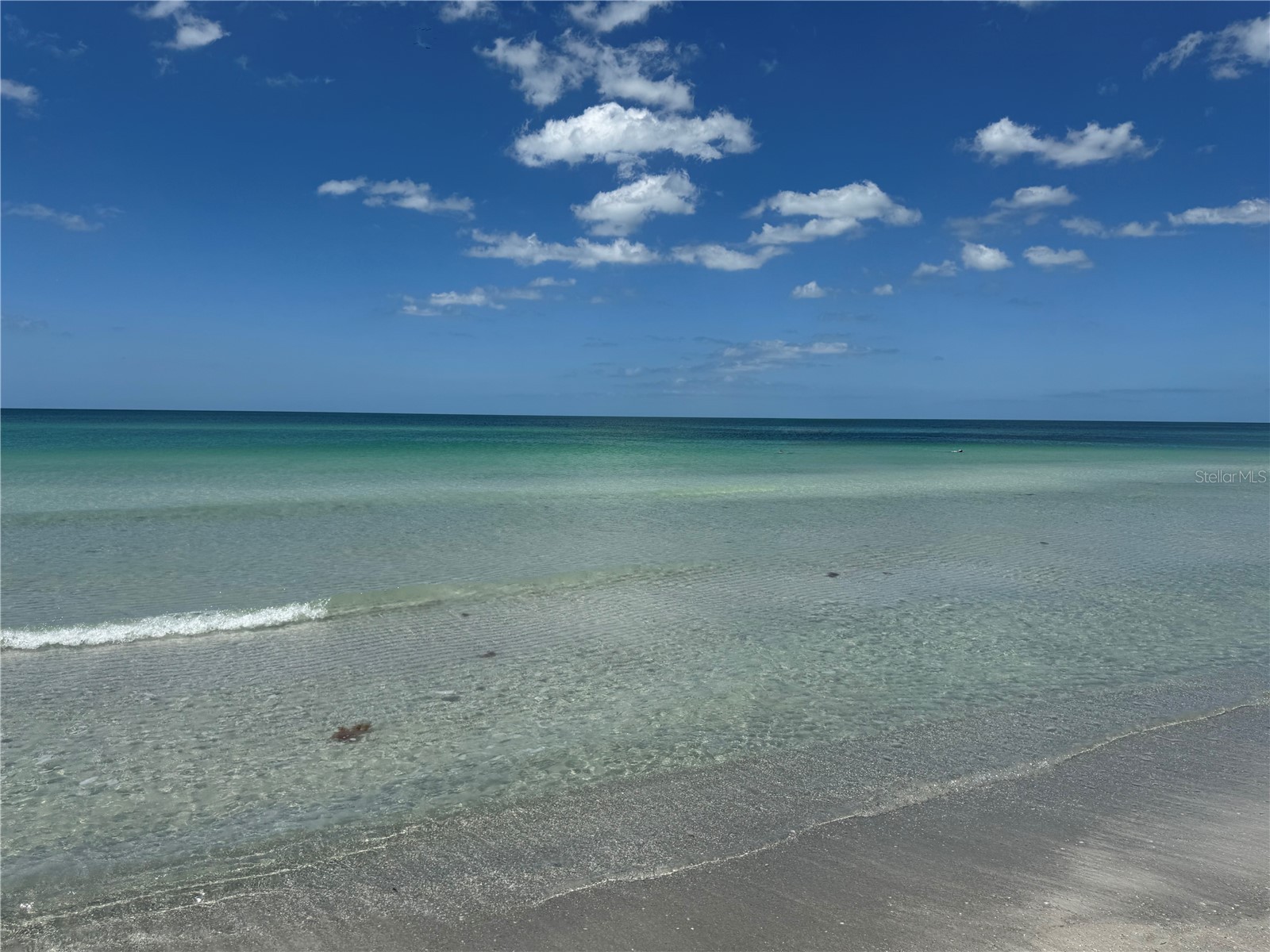 19803 Gulf Boulevard #301 Indian Shores FL 33785 TB8429767 image62
