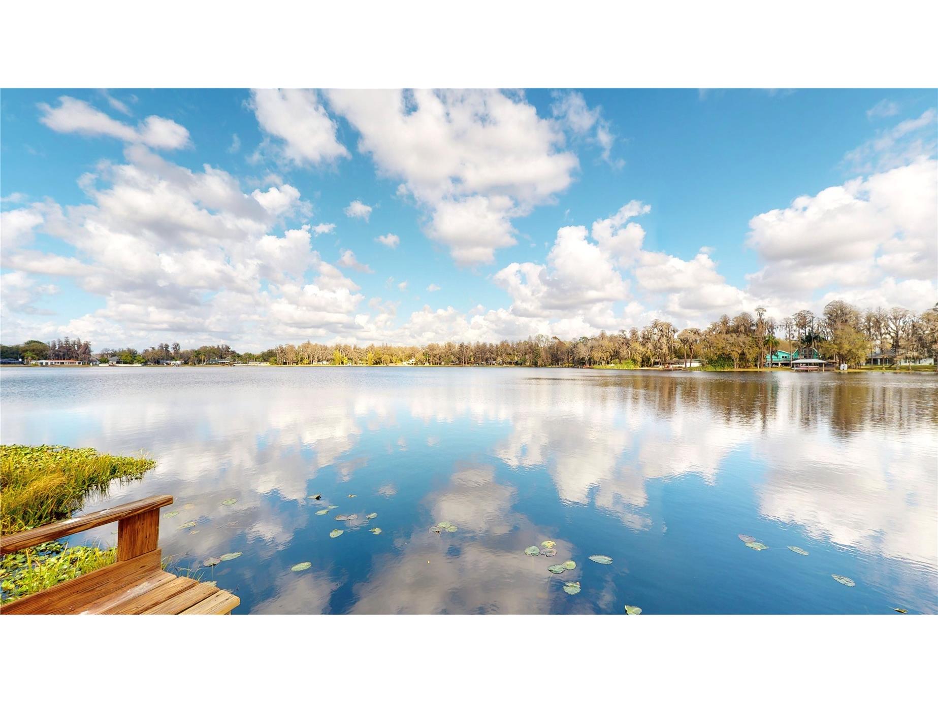 19803 Reading Road Lutz FL 33558 - Browns Lake TB8509254 image1