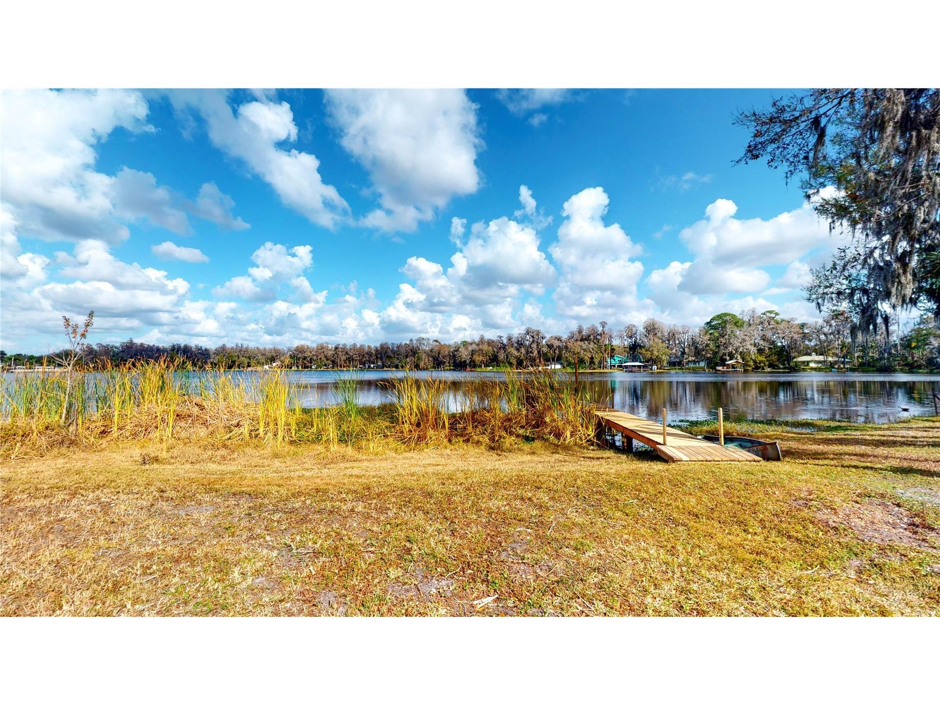 19803 Reading Road Lutz FL 33558 - Browns Lake TB8509254 image18