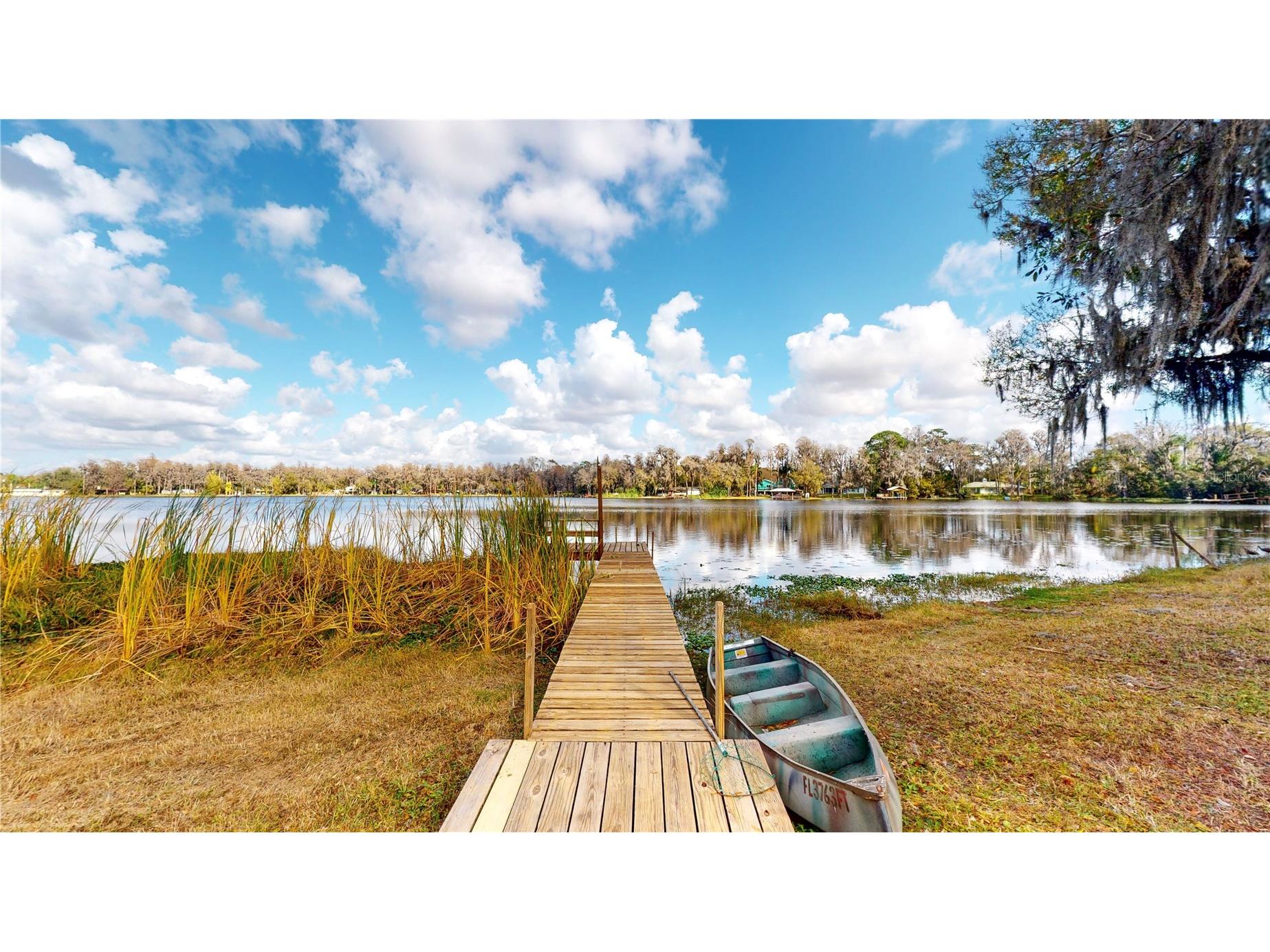 19803 Reading Road Lutz FL 33558 - Browns Lake TB8509254 image19