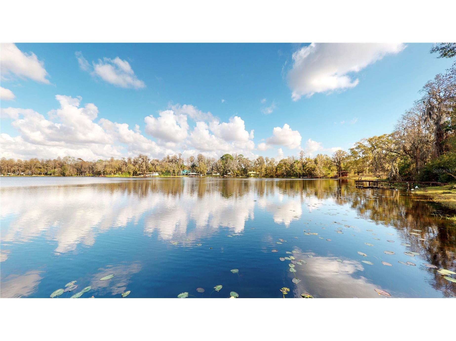 19803 Reading Road Lutz FL 33558 - Browns Lake TB8509254 image21