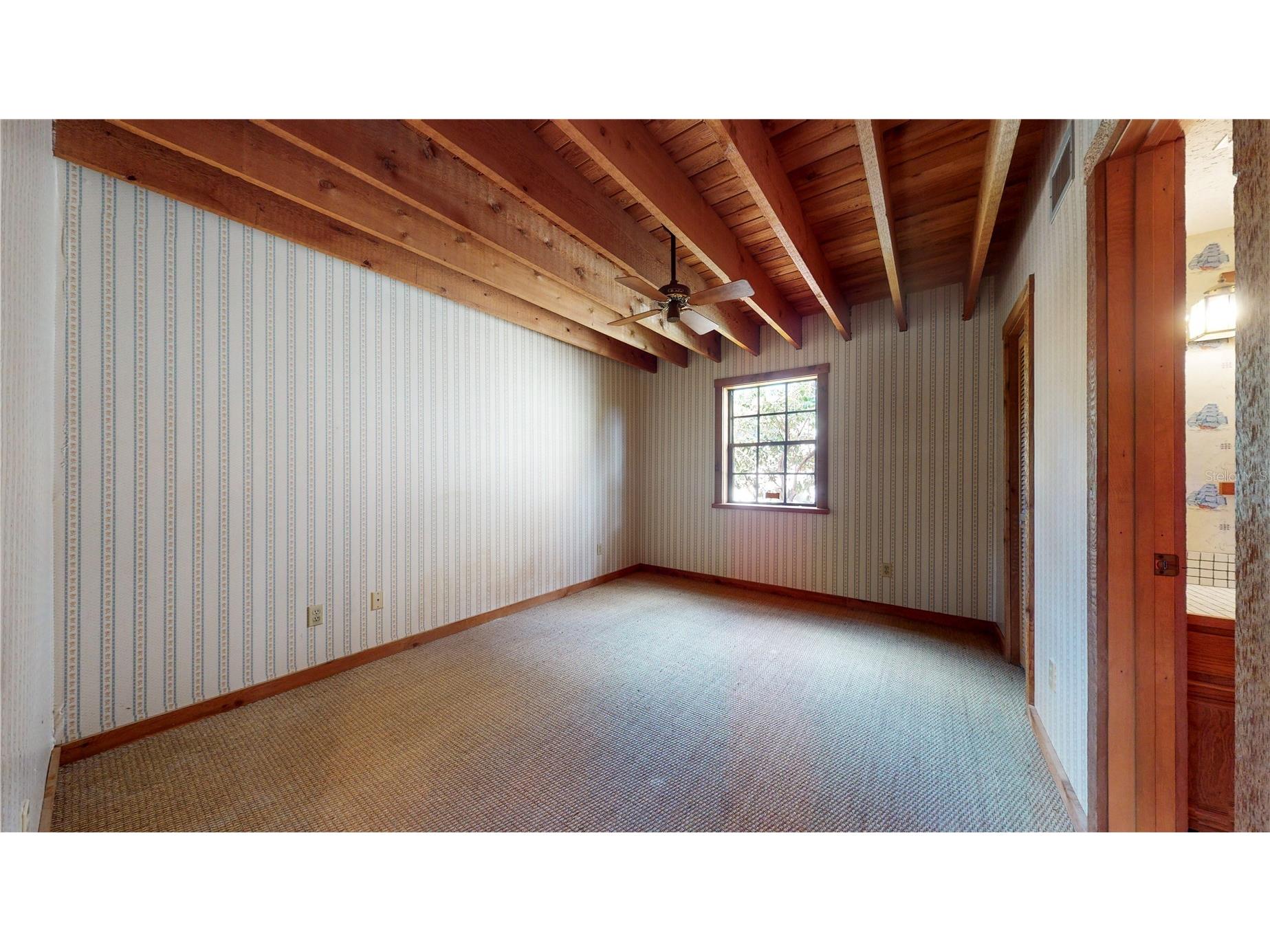 19803 Reading Road Lutz FL 33558 - Browns Lake TB8509254 image37