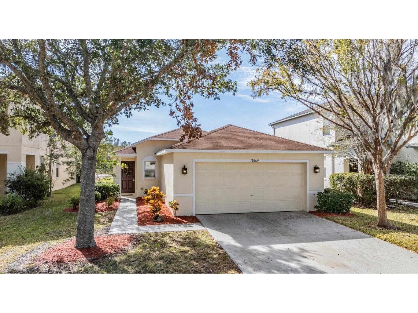 19804 Timberbluff Drive Land O Lakes FL 34638 TB8328731 image1