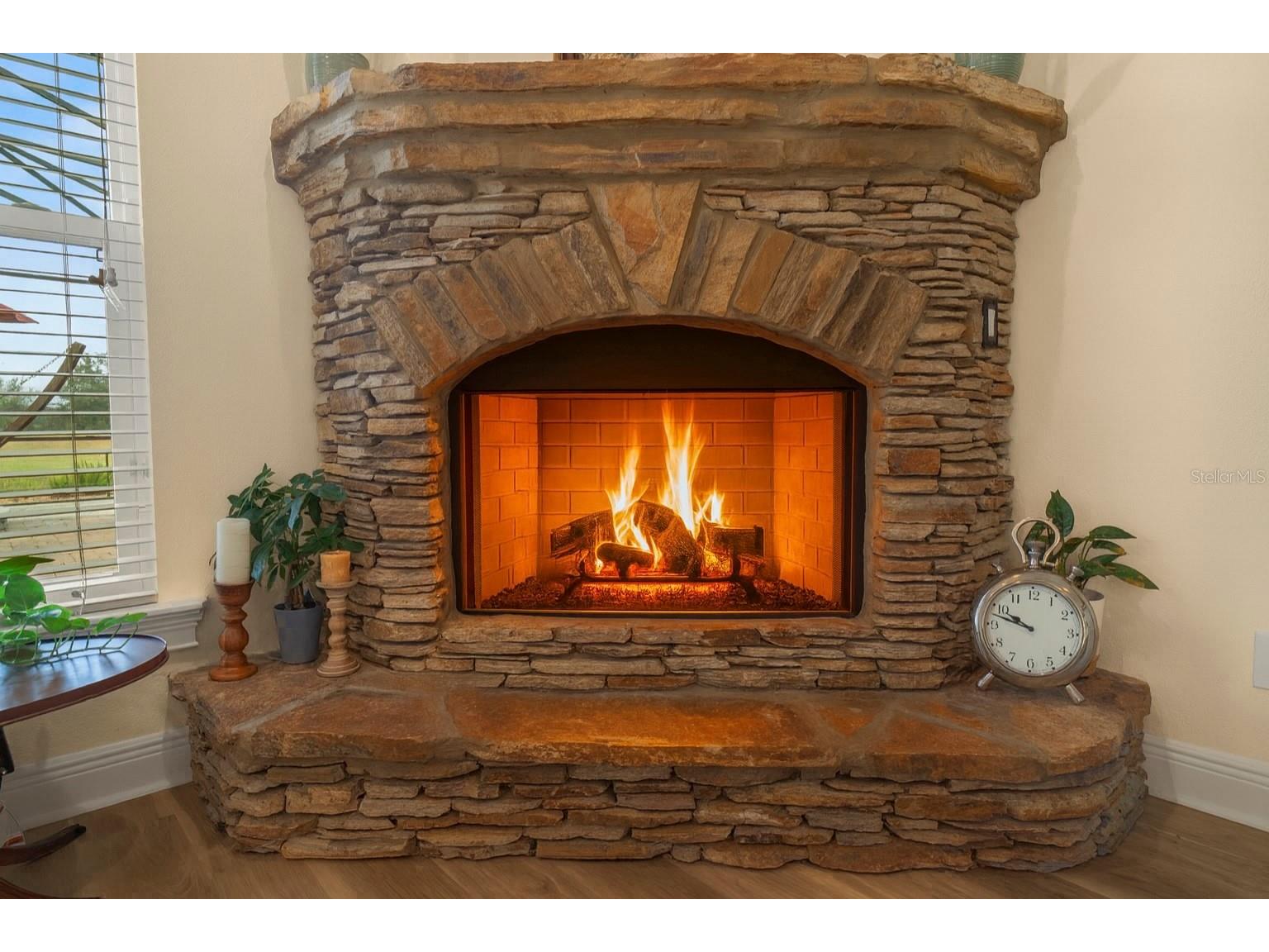 19807 Eagle Run Groveland FL 34736 - PALATKAHAHA RIVER O6364686 image30