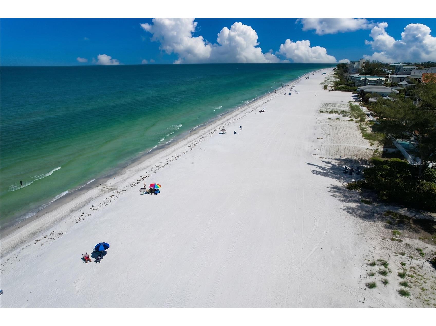 19807 Gulf Boulevard #122 Indian Shores FL 33785 TB8517251 image9