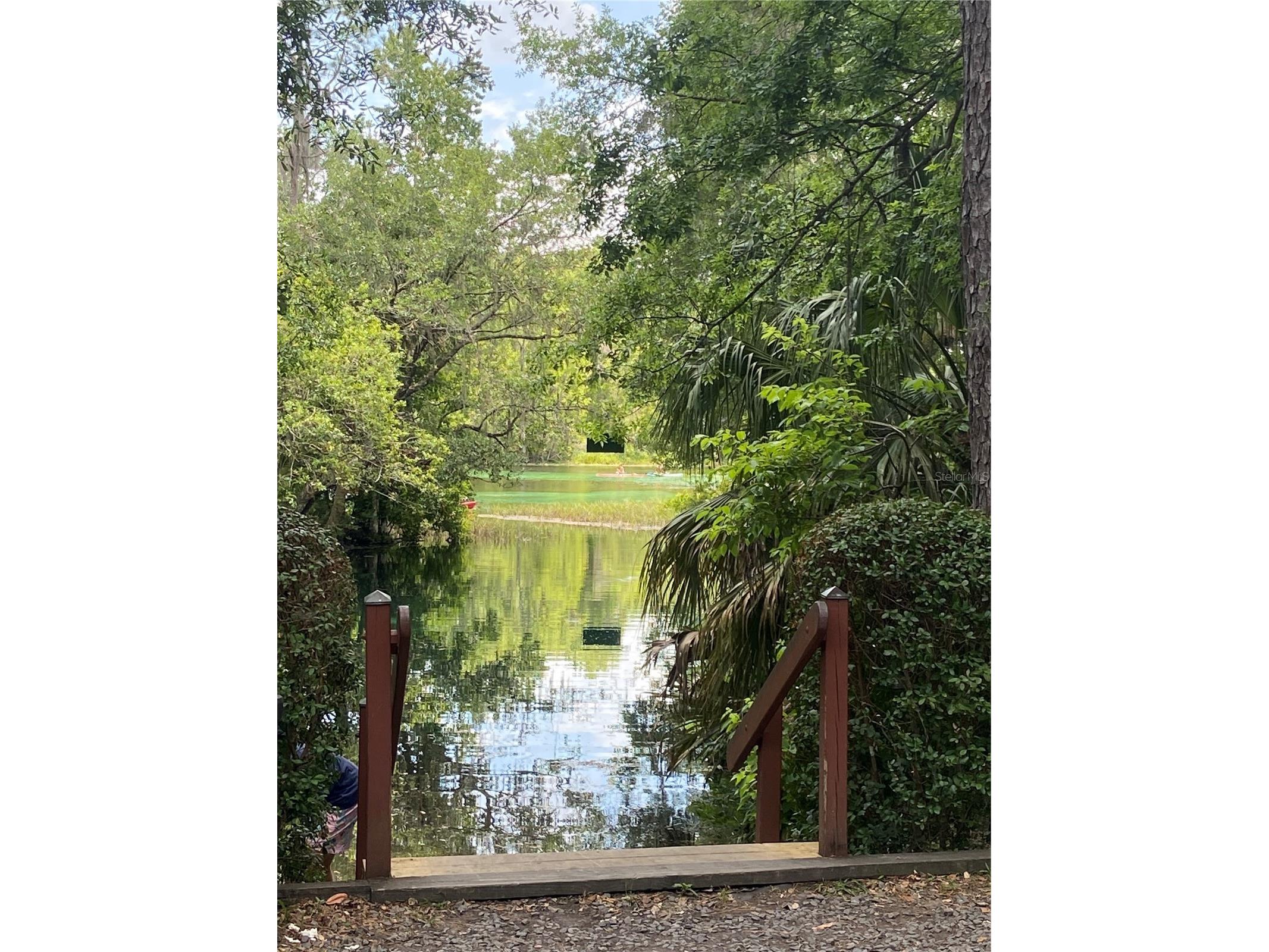 19807 SW 85th Loop Dunnellon FL 34432 - RAINBOW RIVER OM716751 image53