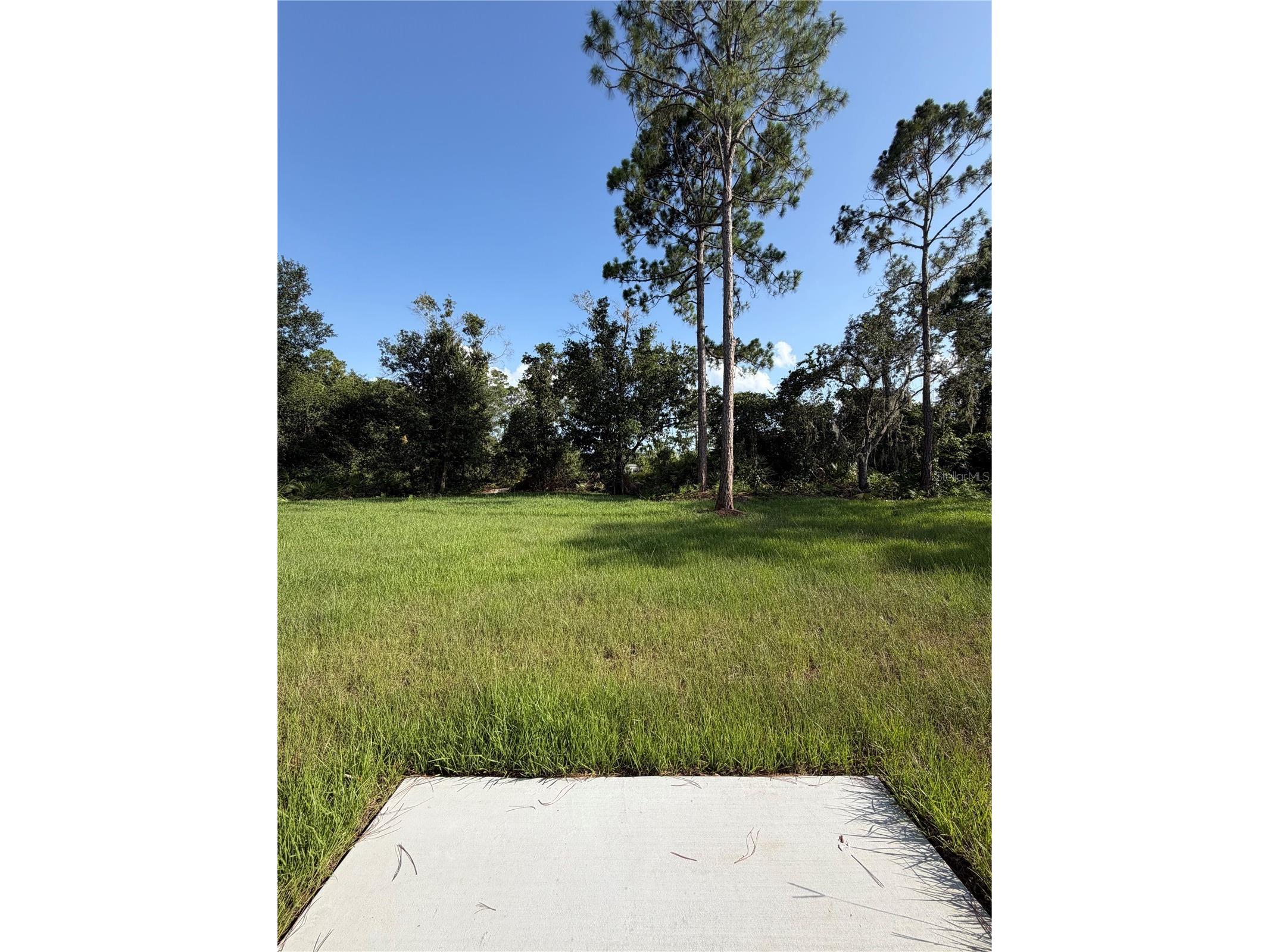 1981 Lemon Drive Lake Wales FL 33898 P4939306 image13