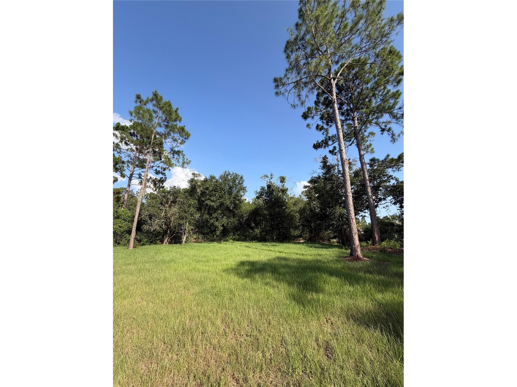 1981 Lemon Drive Lake Wales FL 33898 P4939306 image14