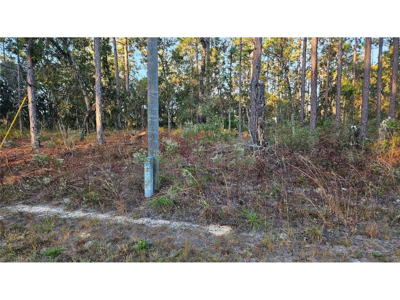 1981 W Oliver Drive Citrus Springs FL 34434 OM689823 image1