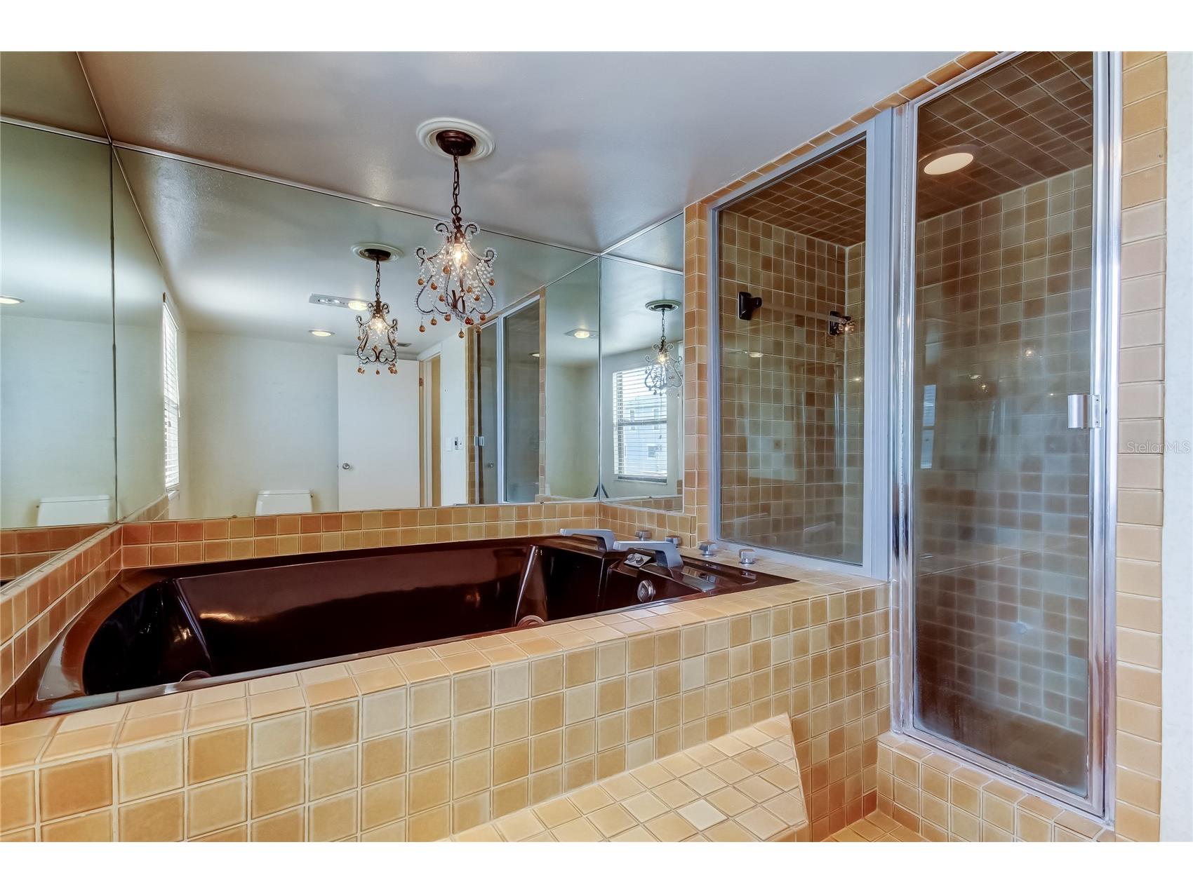 19810 Gulf Boulevard #3 Indian Shores FL 33785 TB8439282 image33