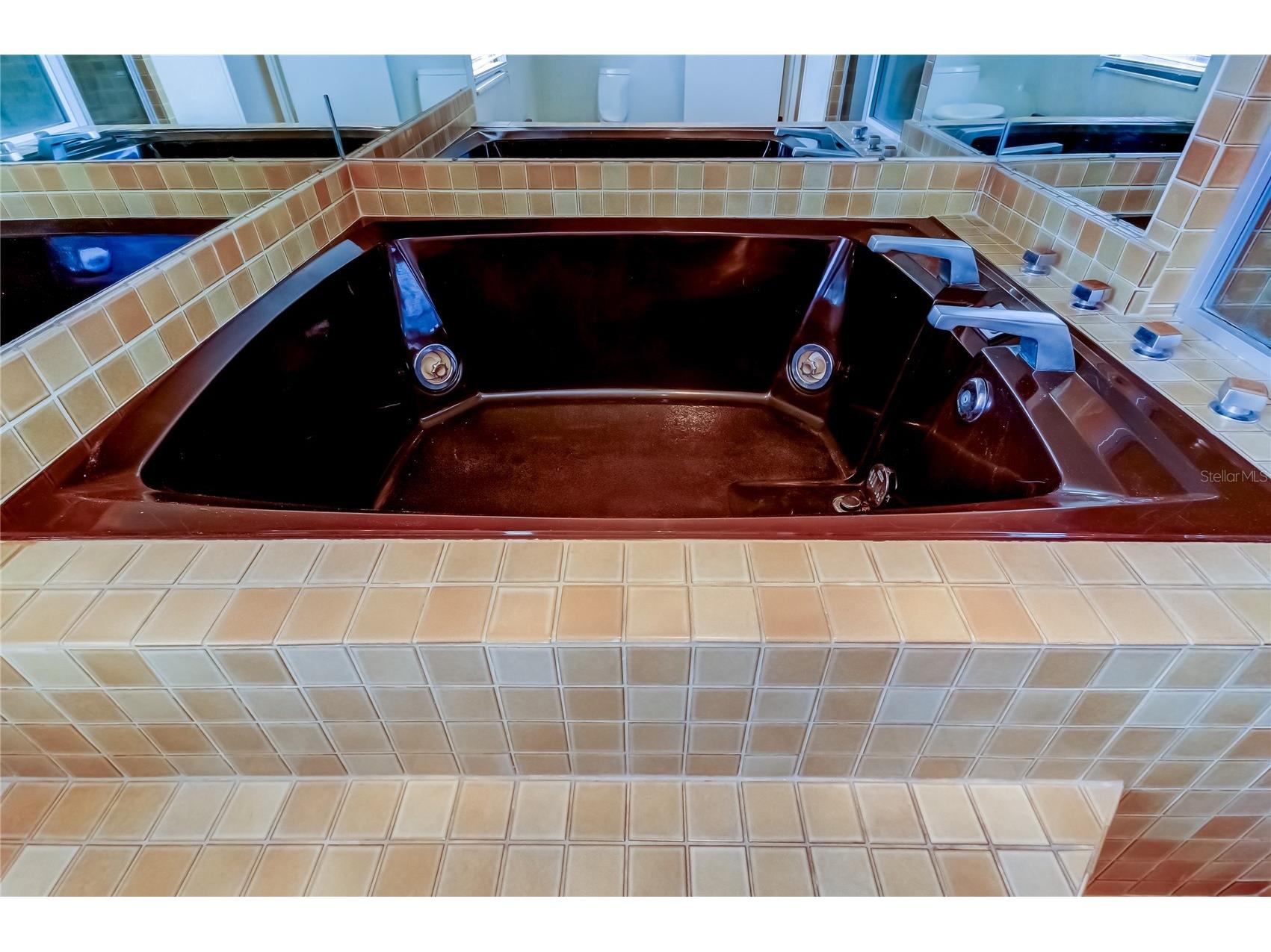 19810 Gulf Boulevard #3 Indian Shores FL 33785 TB8439282 image34