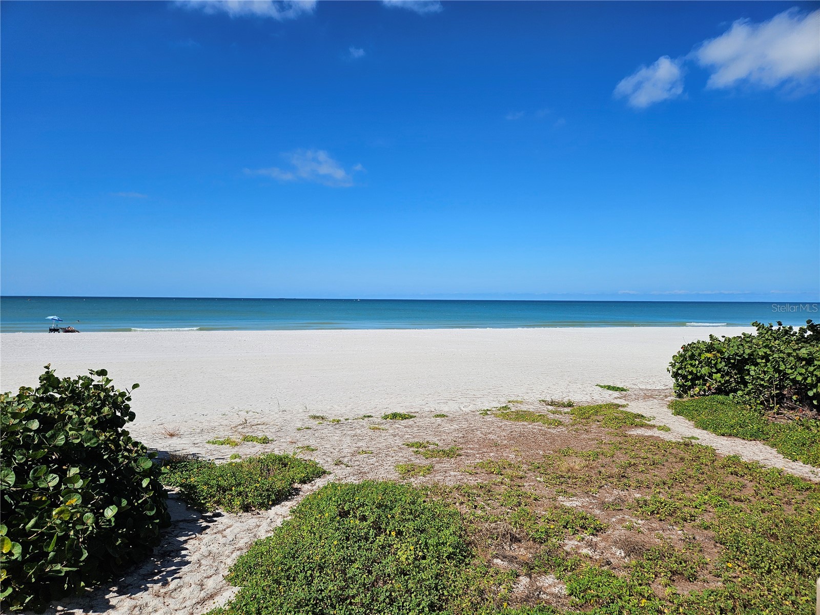 19810 Gulf Boulevard #3 Indian Shores FL 33785 TB8439282 image5