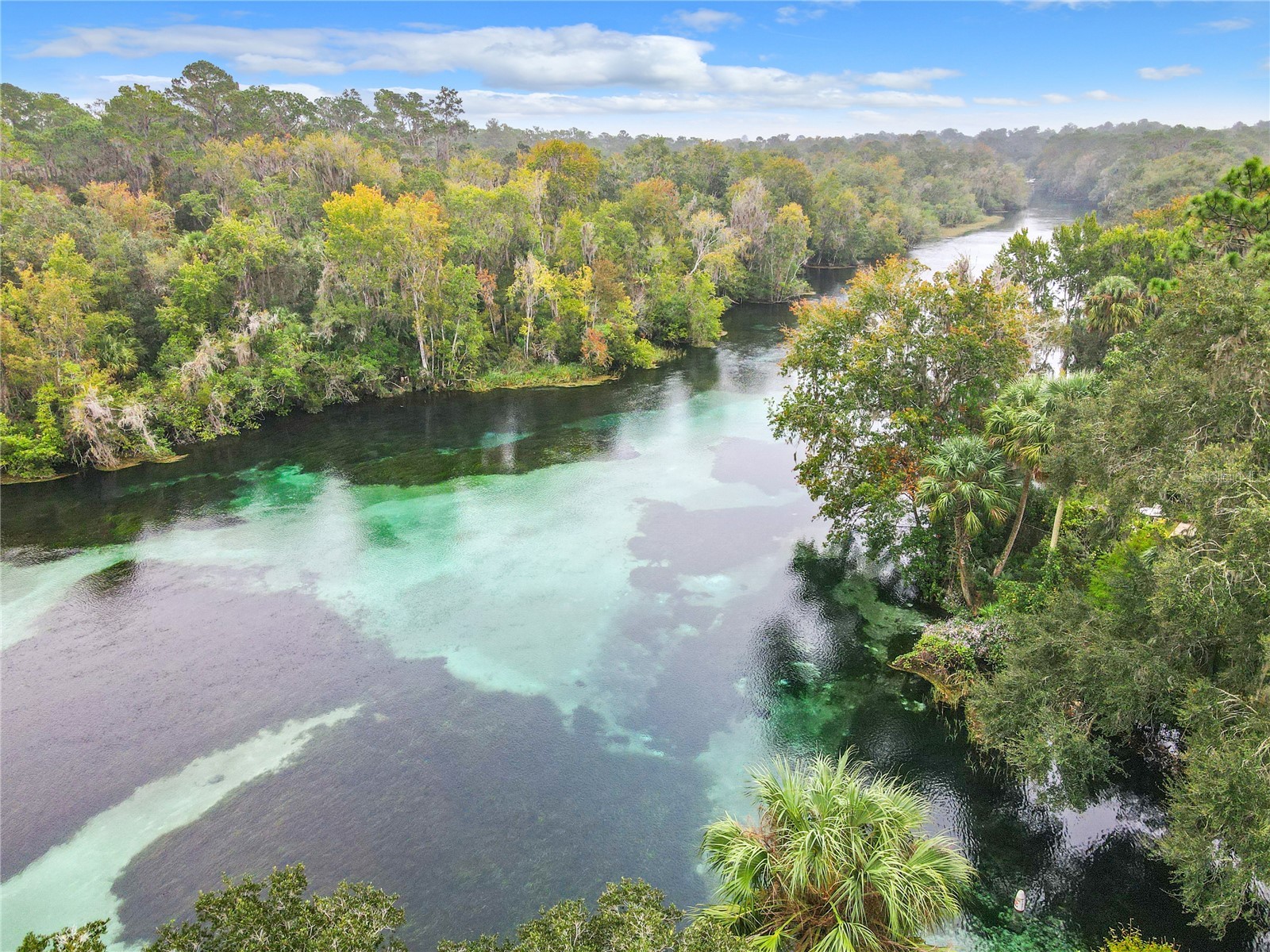 19811 SW 95th Street Dunnellon FL 34432 - RAINBOW RIVER OM725702 image3