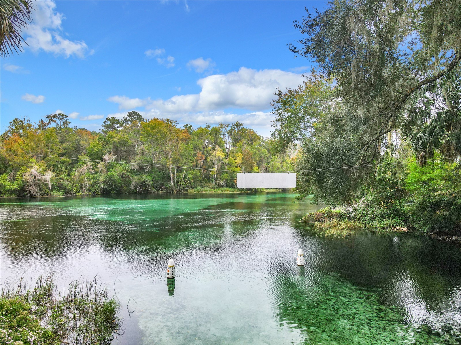 19811 SW 95th Street Dunnellon FL 34432 - RAINBOW RIVER OM725702 image78