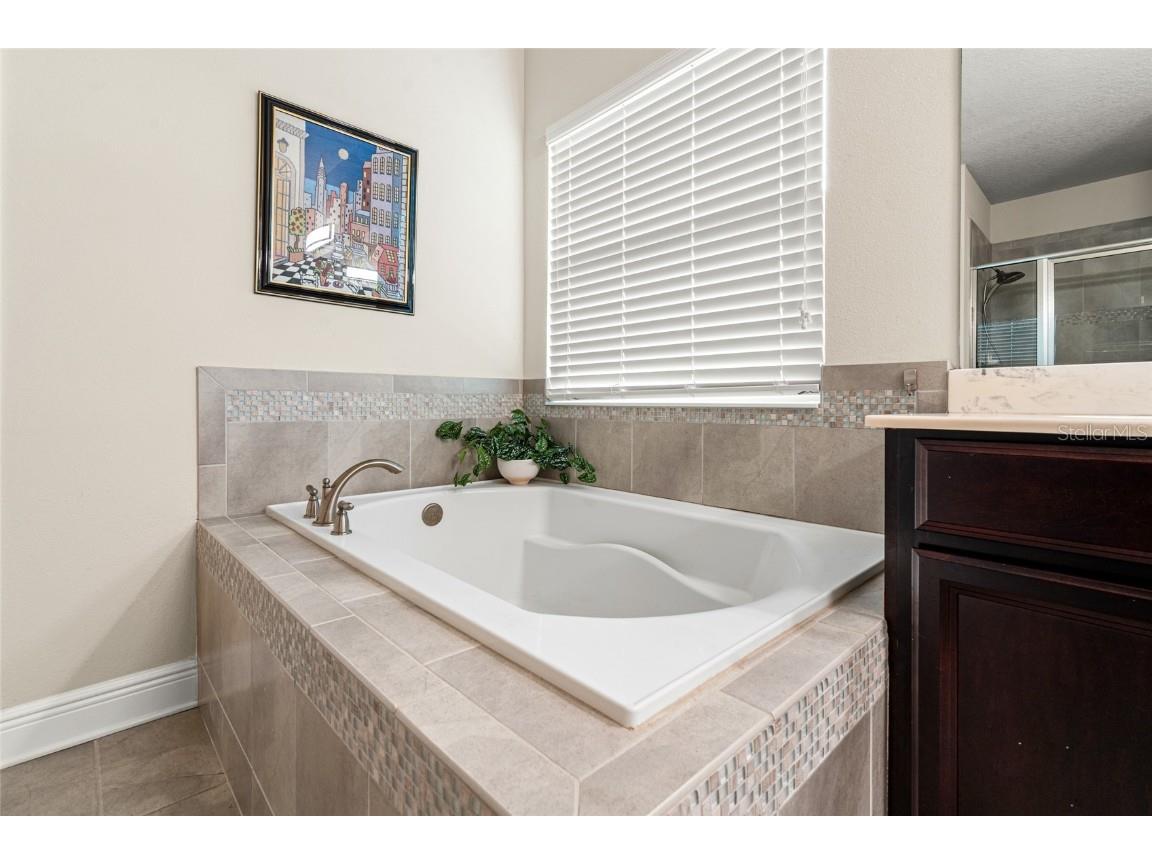 19813 Wellington Manor Boulevard Lutz FL 33549 TB8423603 image36