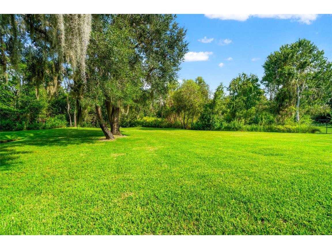 19813 Wellington Manor Boulevard Lutz FL 33549 TB8423603 image45