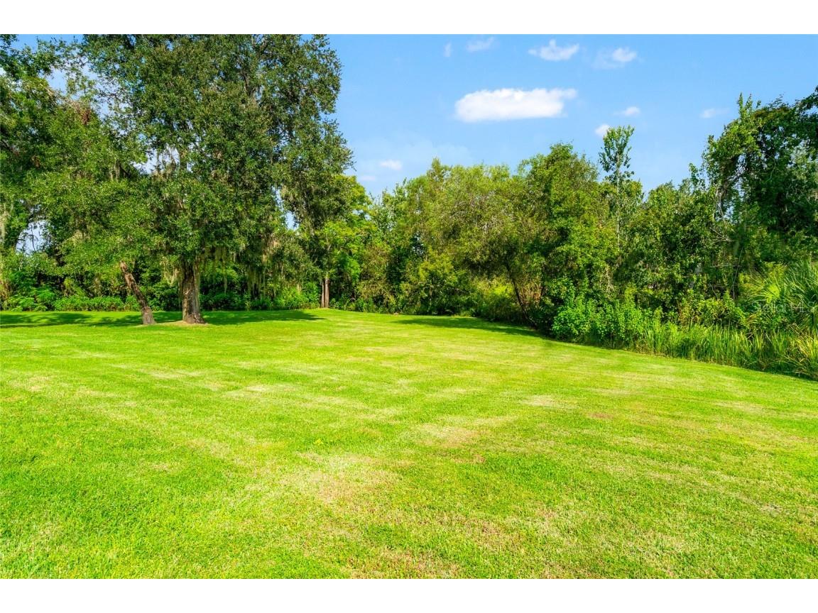 19813 Wellington Manor Boulevard Lutz FL 33549 TB8423603 image47