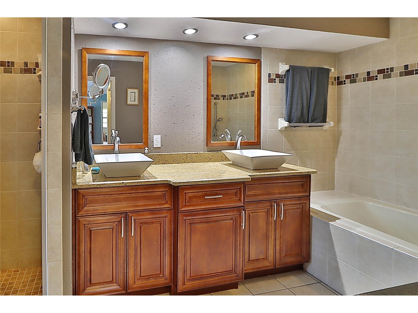 19814 Deer Hollow Lane Lutz FL 33548 TB8497685 image10