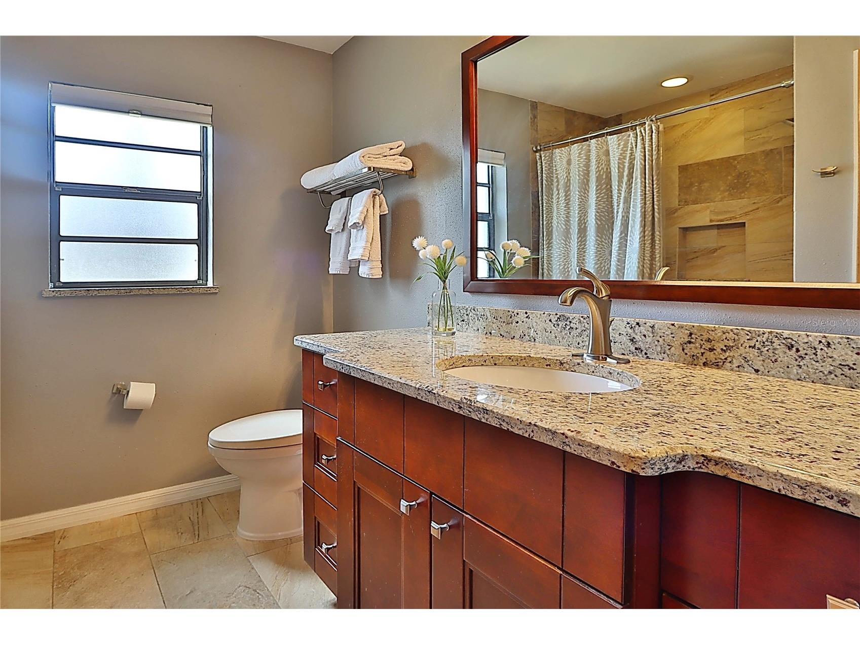 19814 Deer Hollow Lane Lutz FL 33548 TB8497685 image15