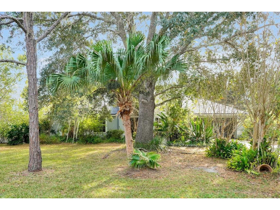 19814 Moorgate Street Orlando FL 32833 TB8450020 image1