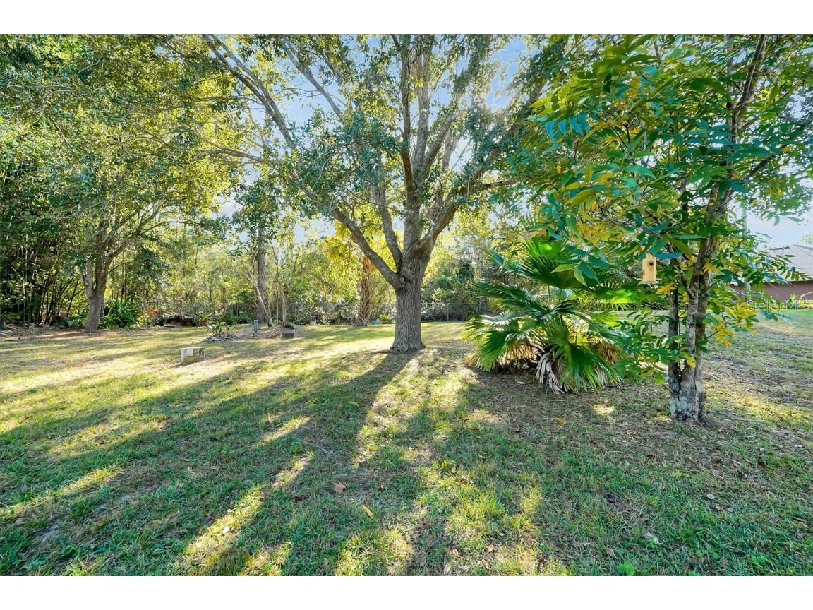 19814 Moorgate Street Orlando FL 32833 TB8450020 image55